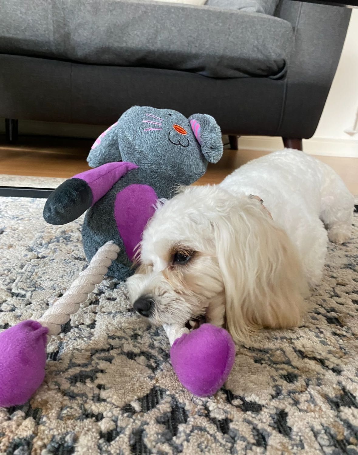 image-14