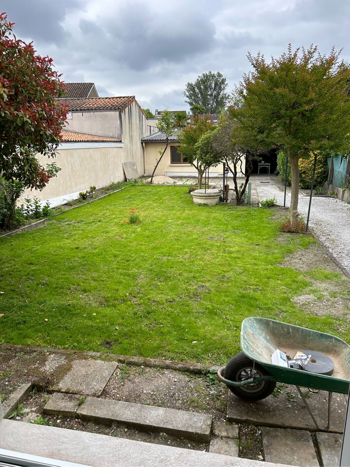 image-5