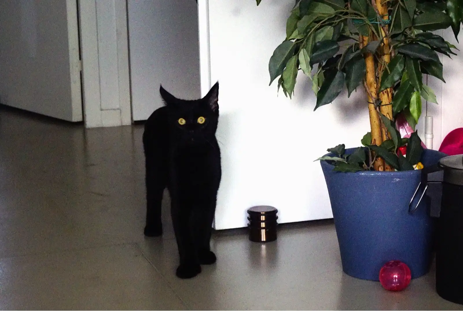 image-6