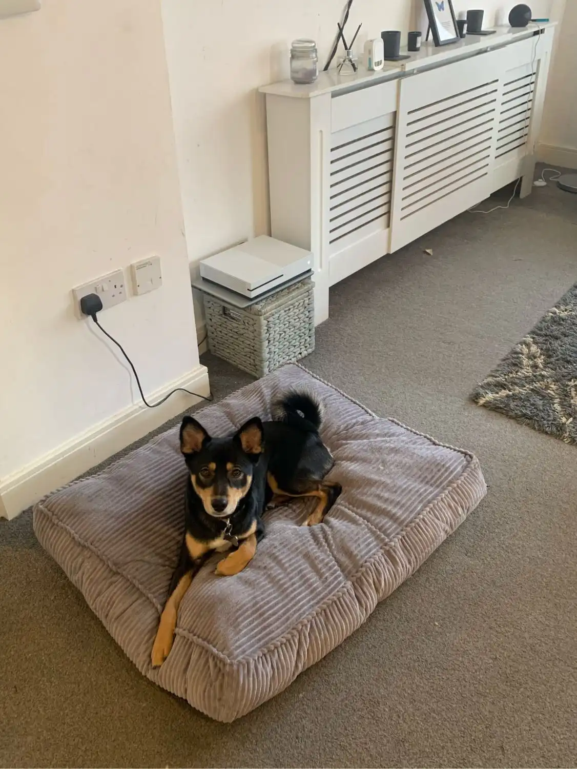 image-16