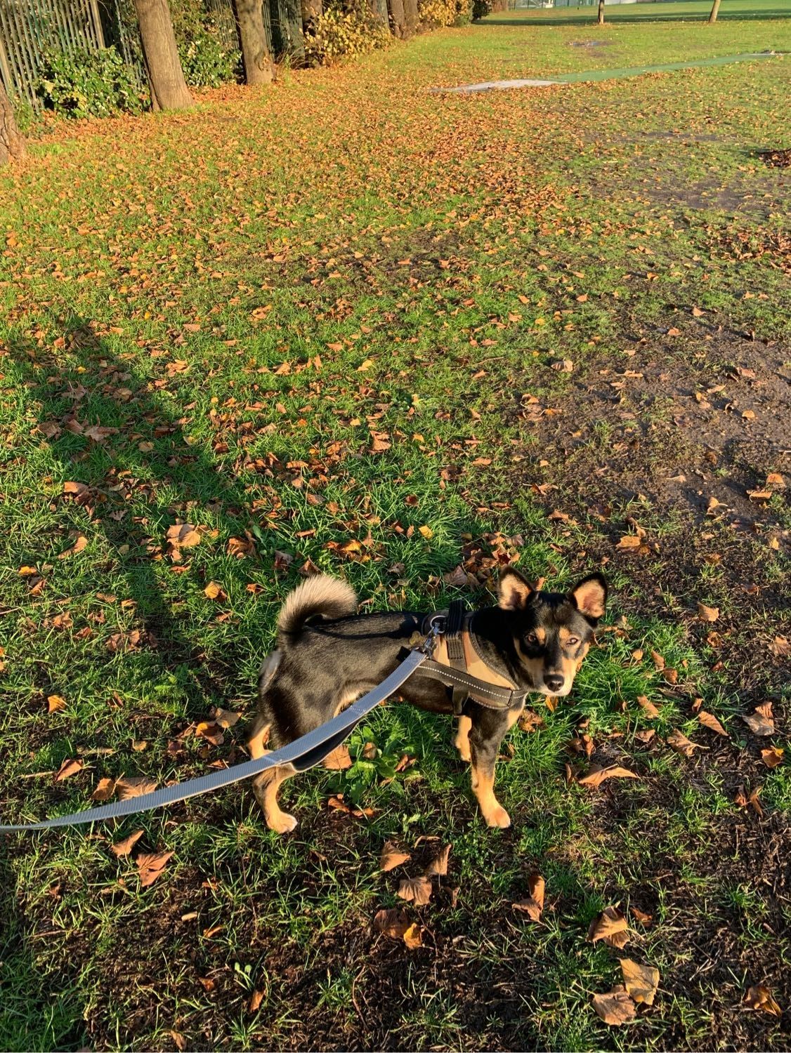 image-11