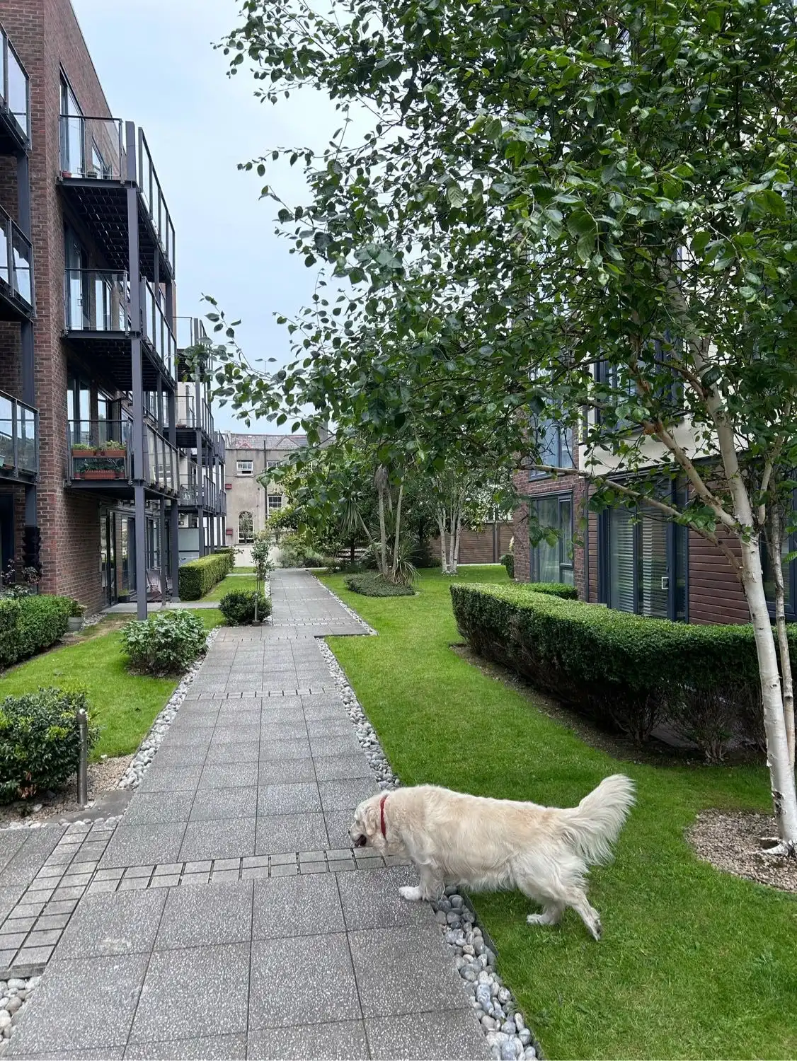 image-8