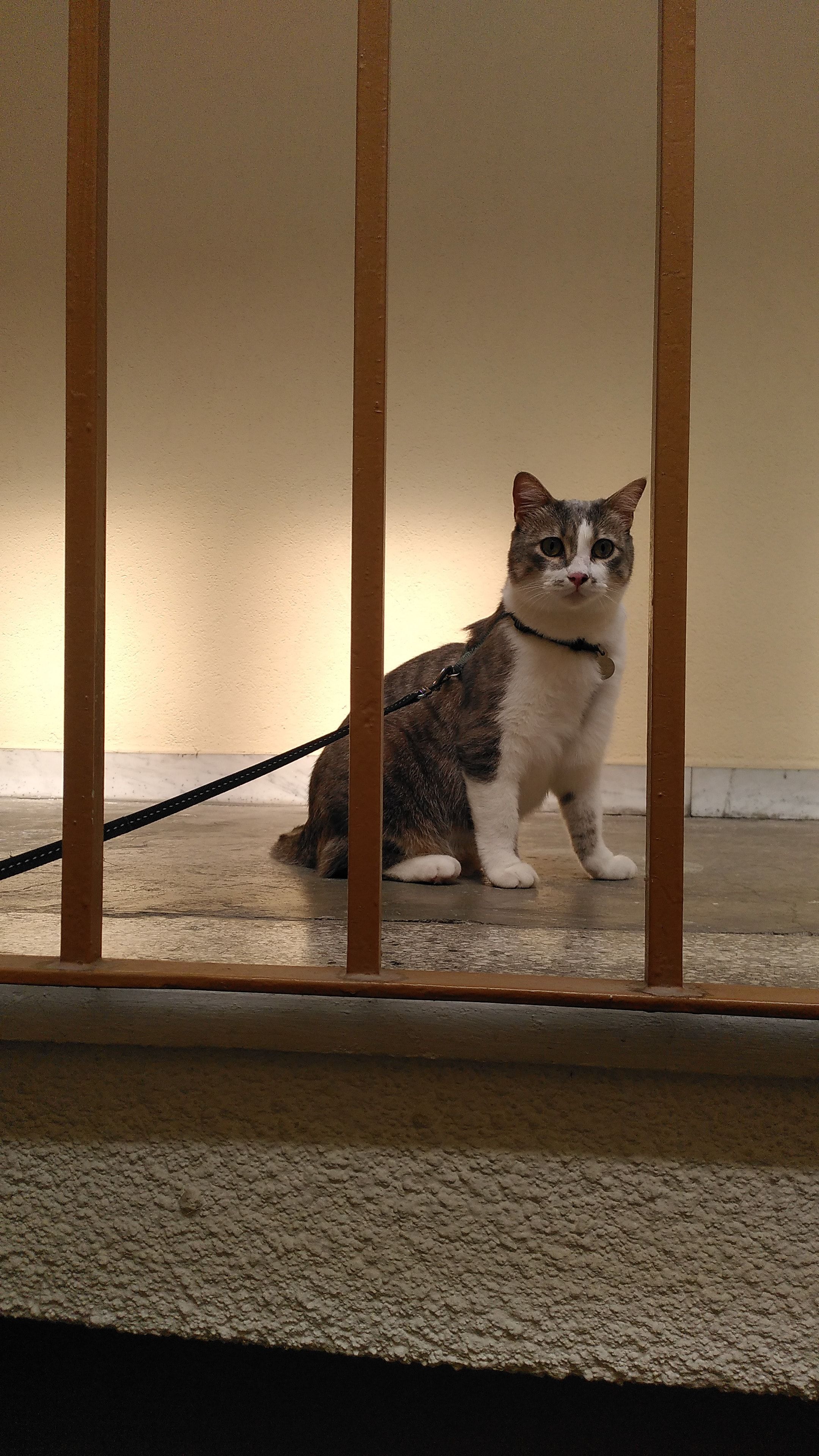 image-5