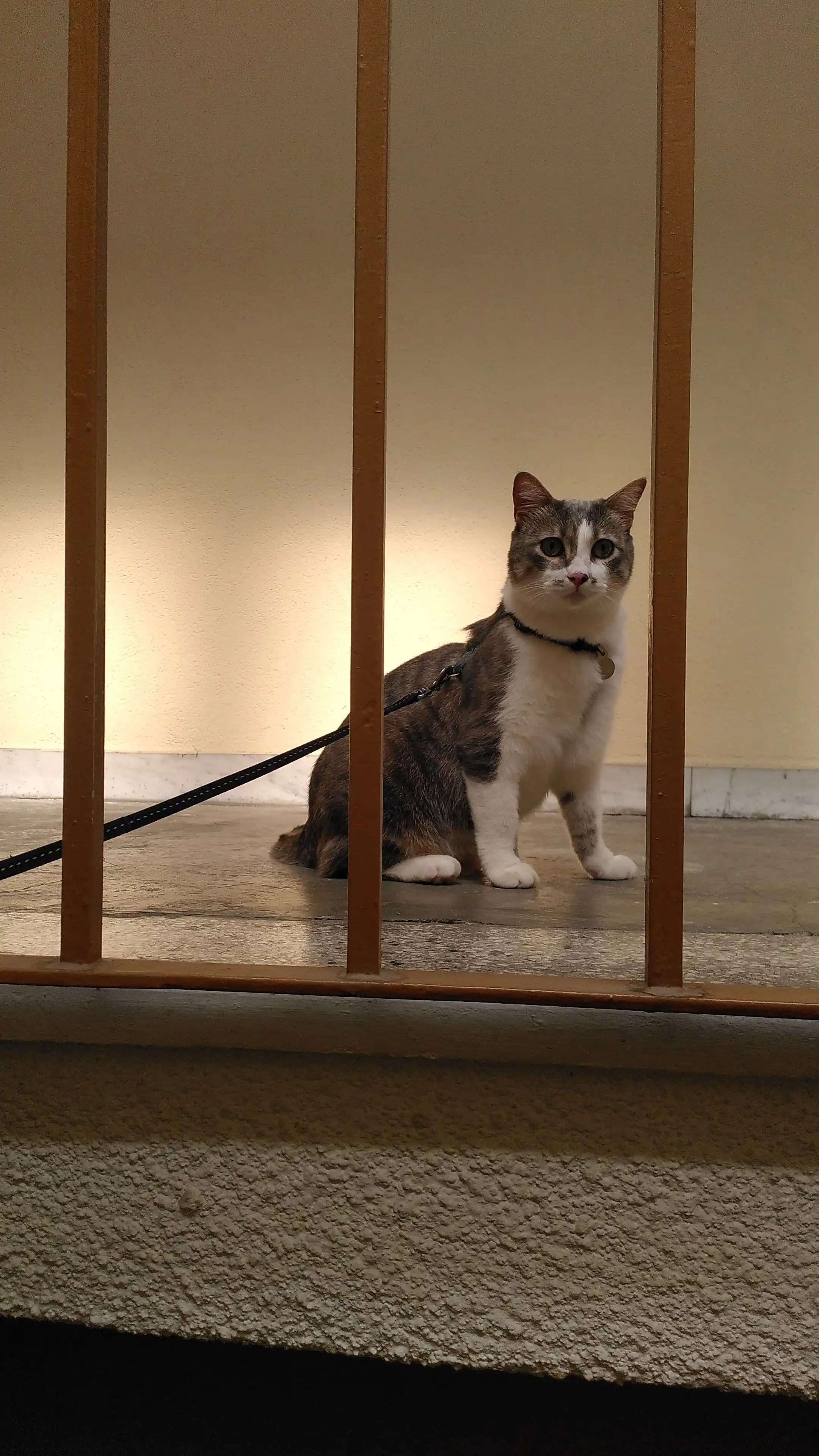 image-5