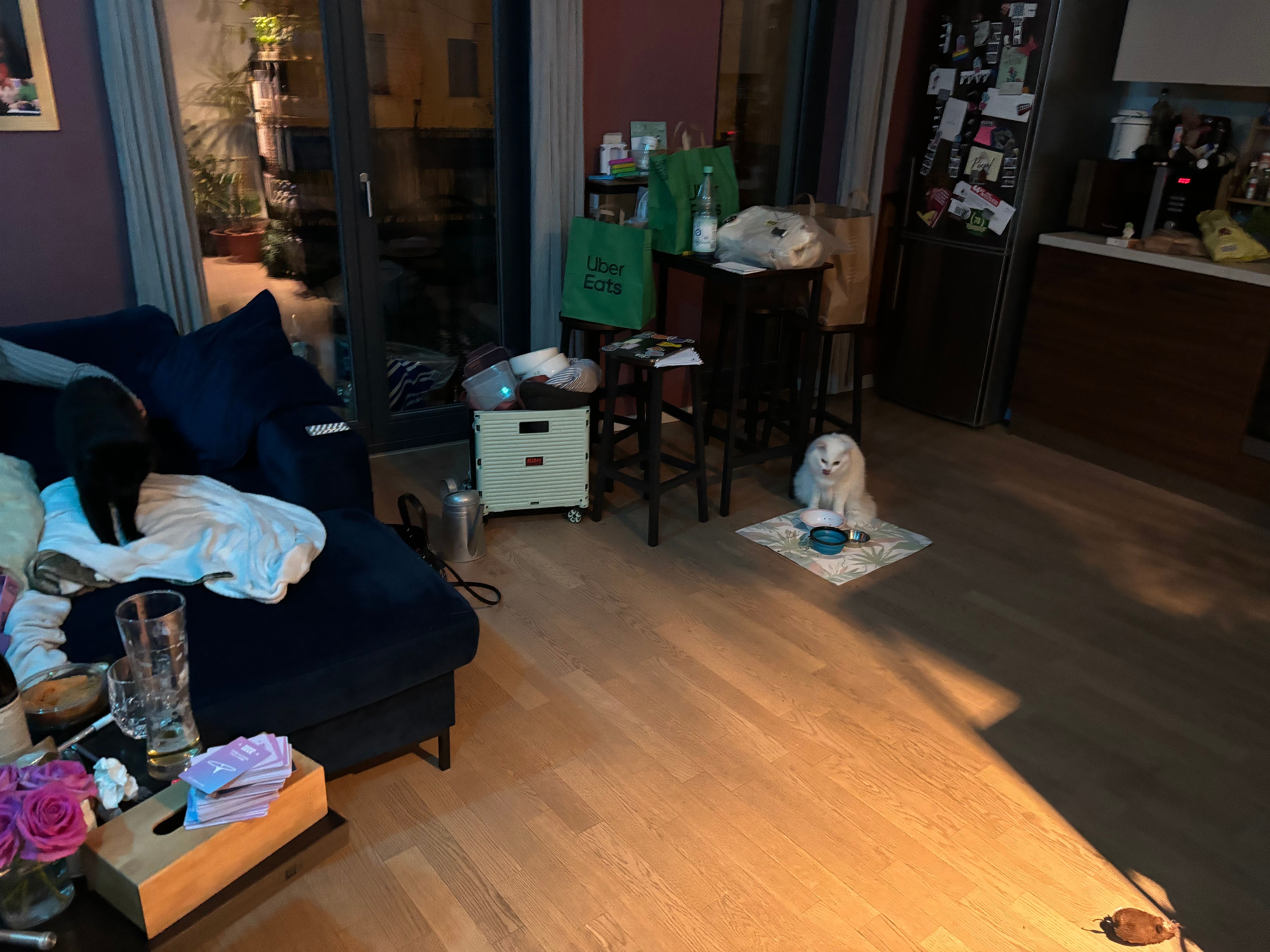 image-16