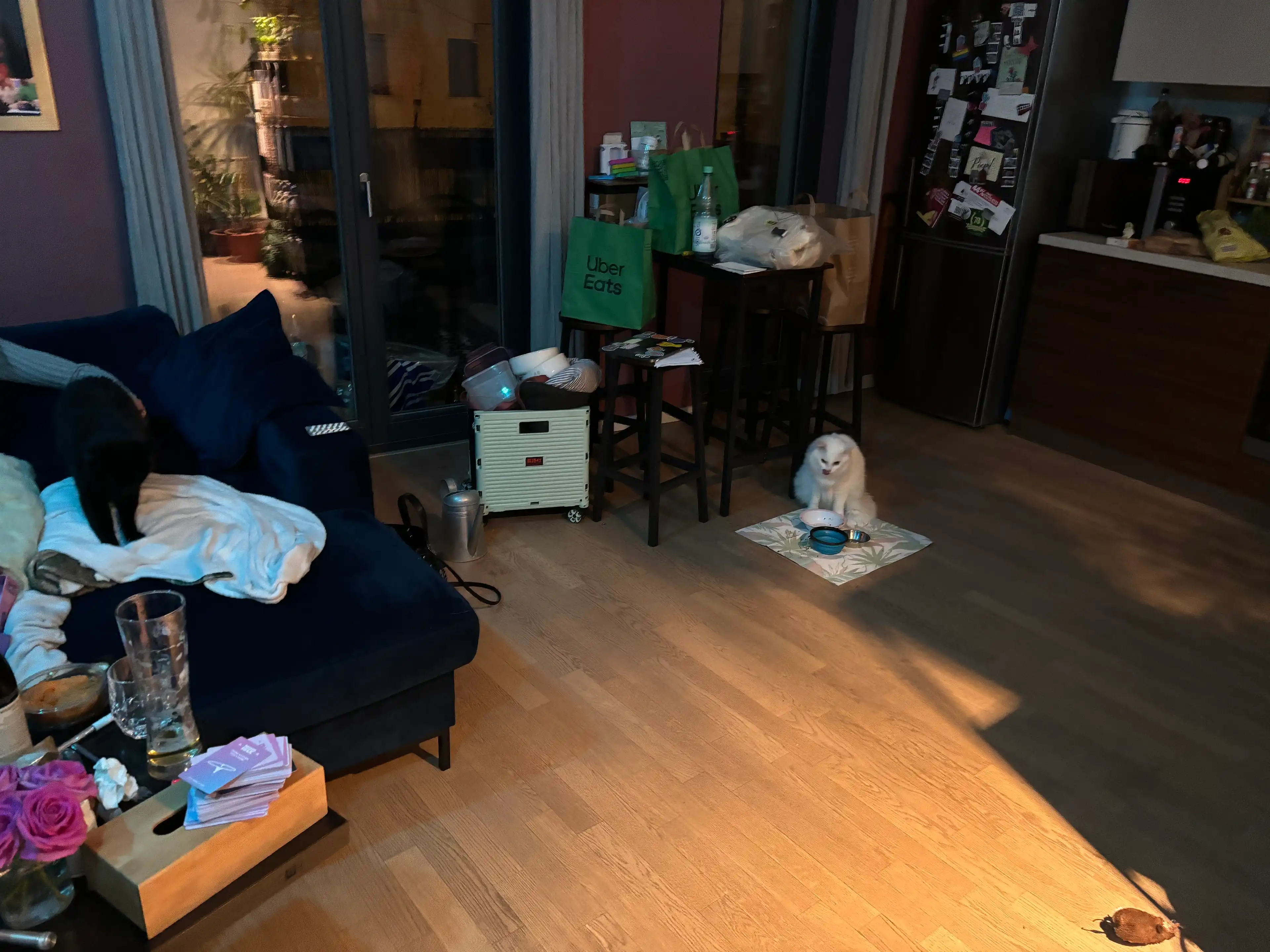 image-16