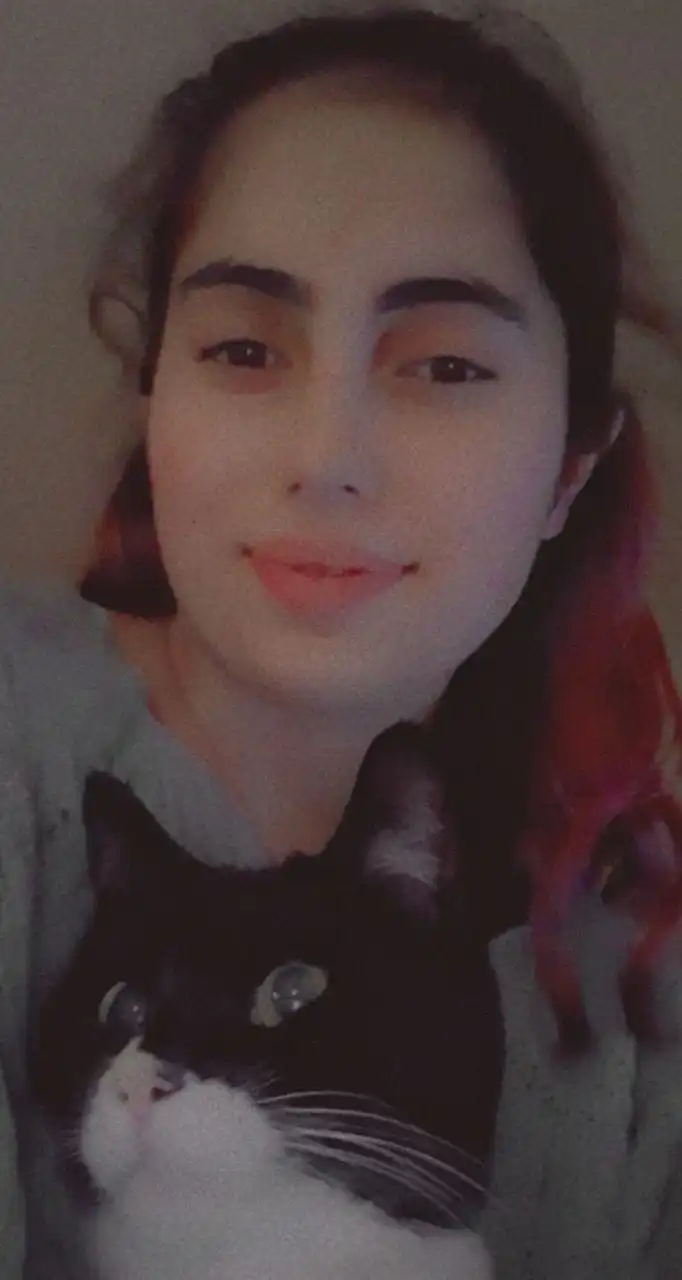 image-7