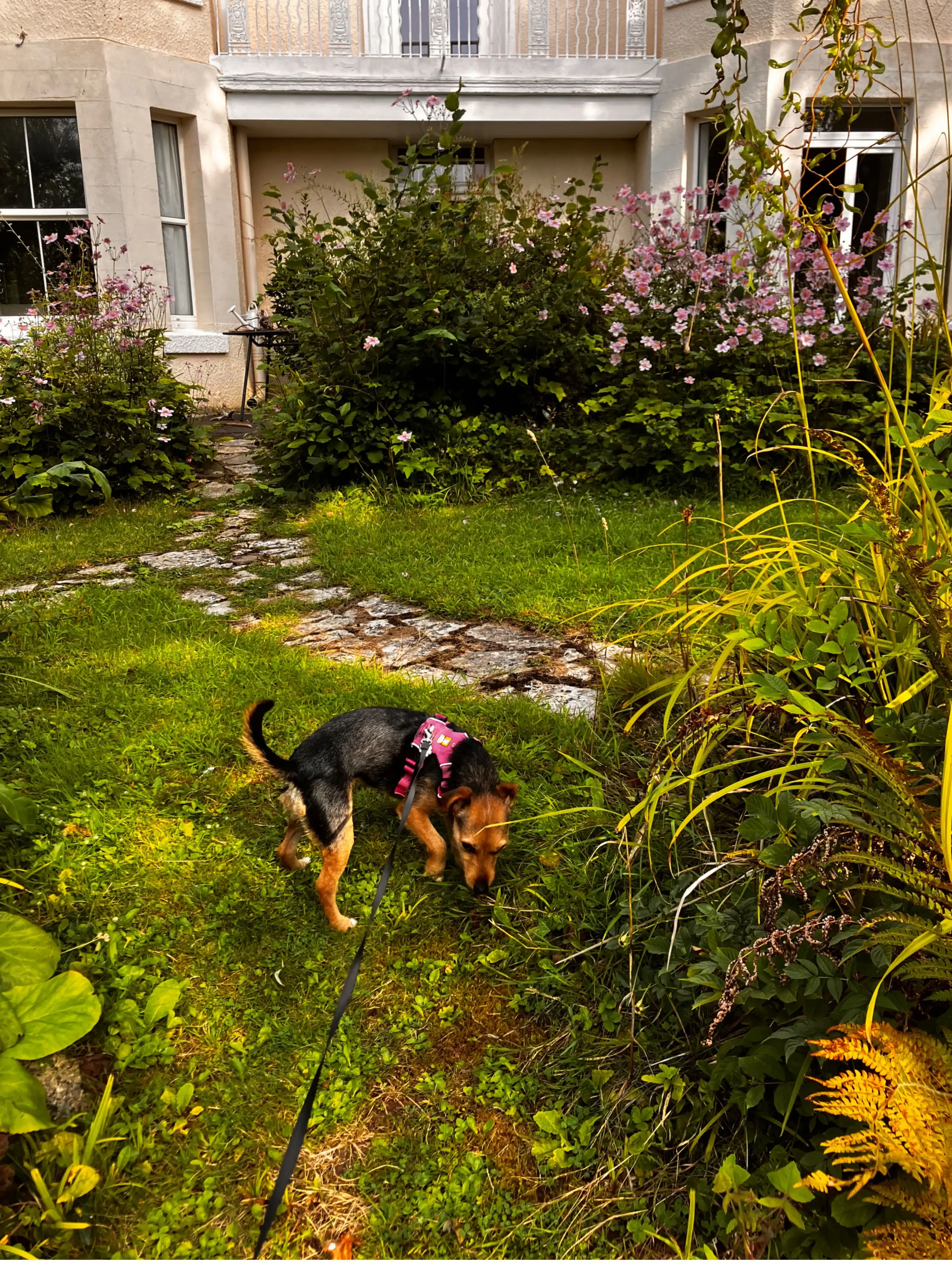image-12