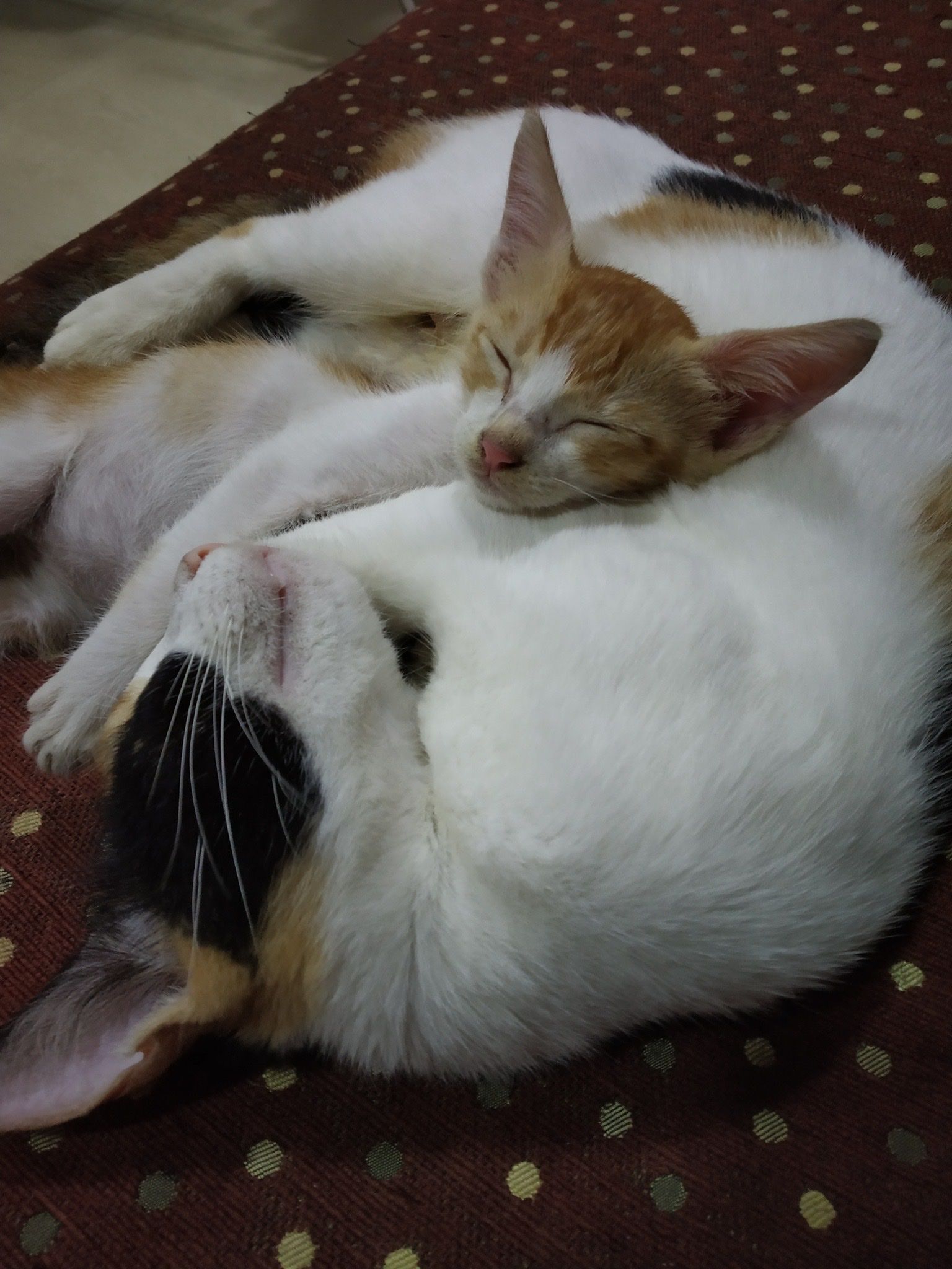 image-5