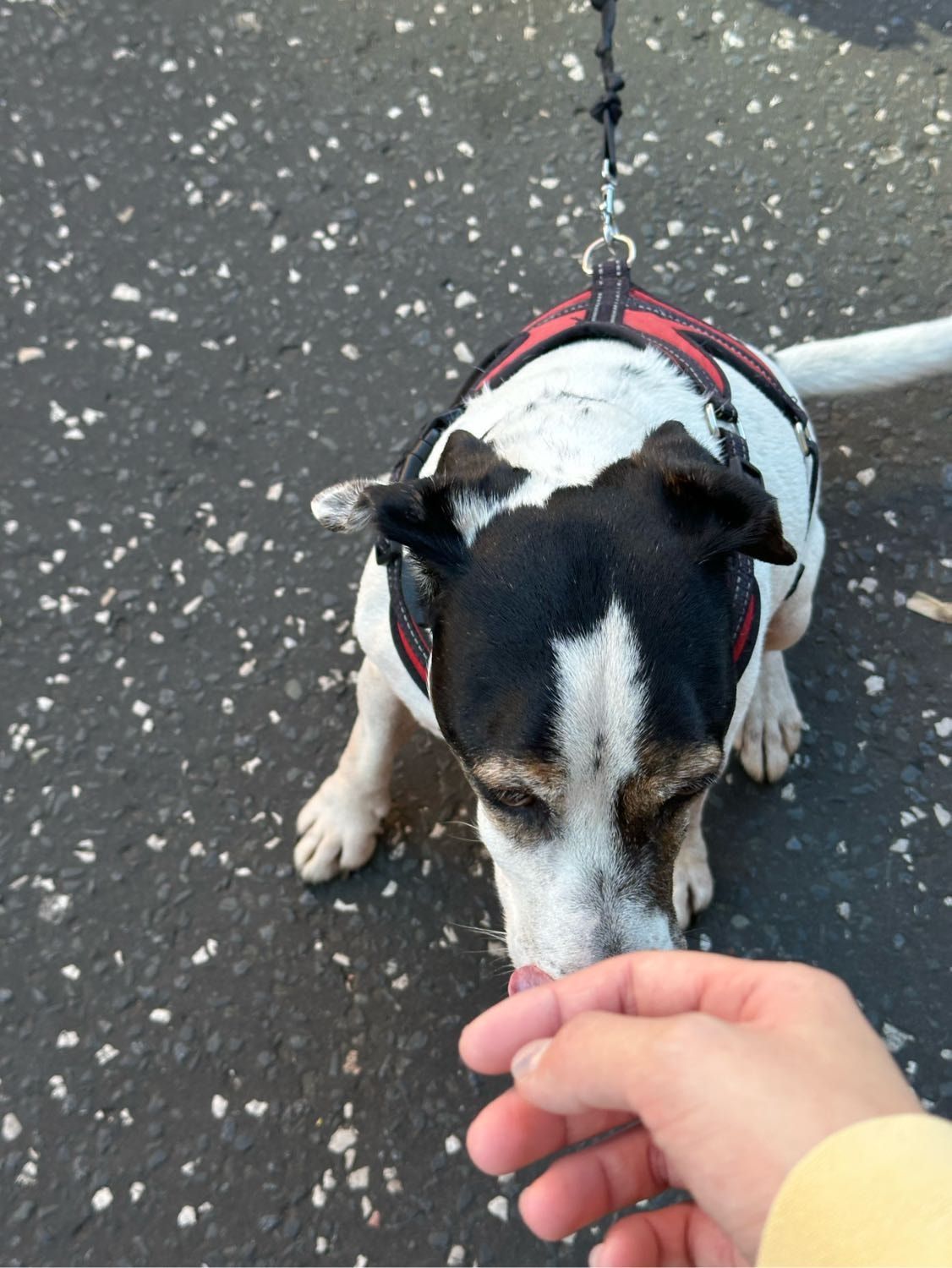 image-8