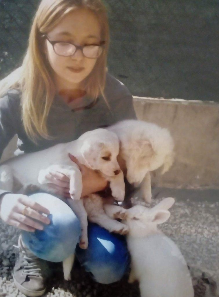 image-5