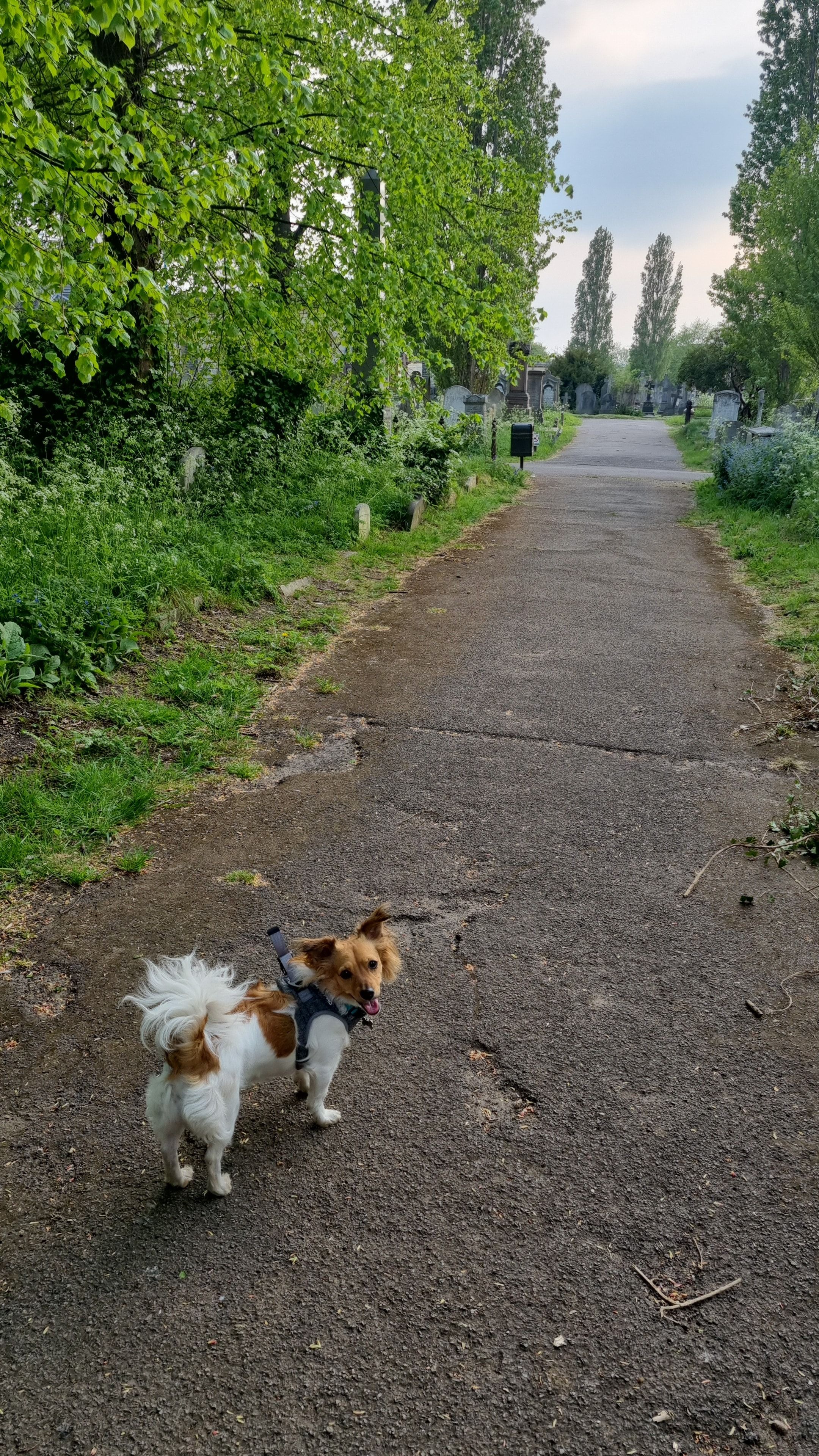 image-9