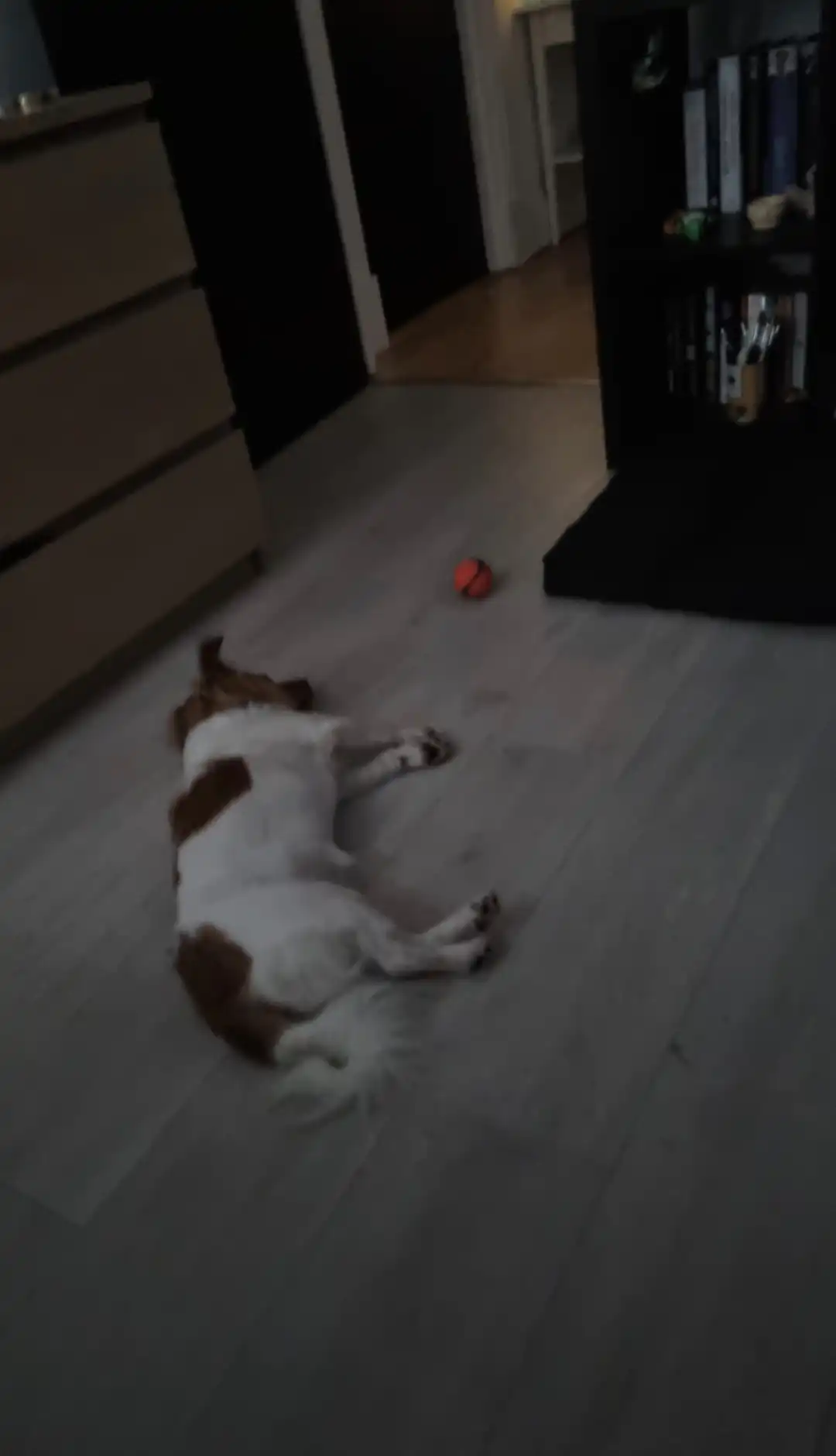 image-7
