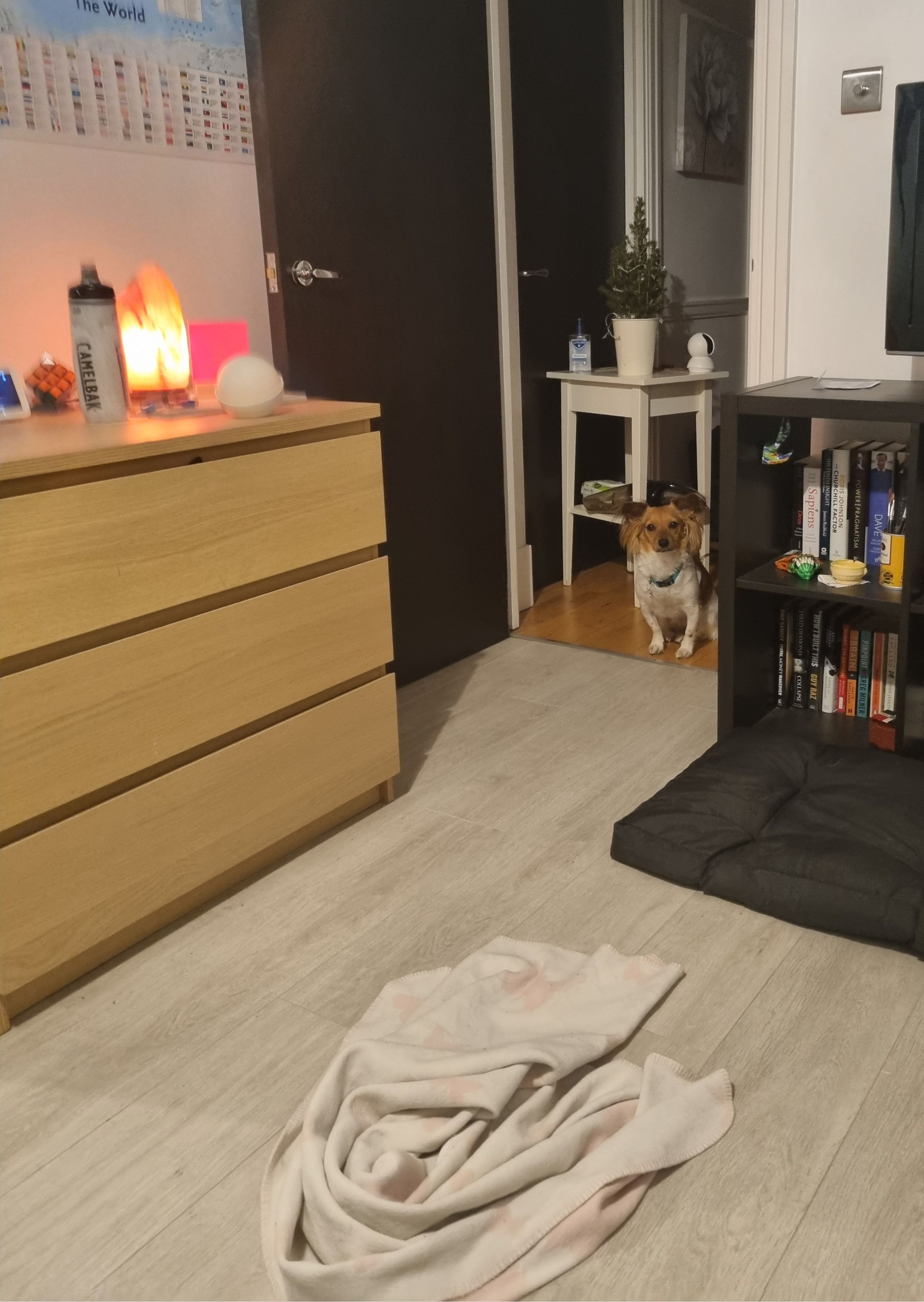 image-13
