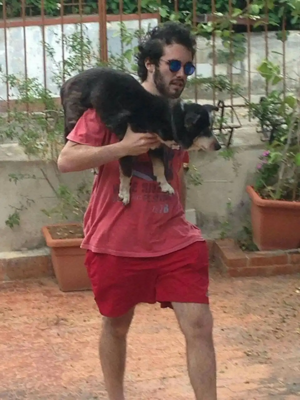 image-7