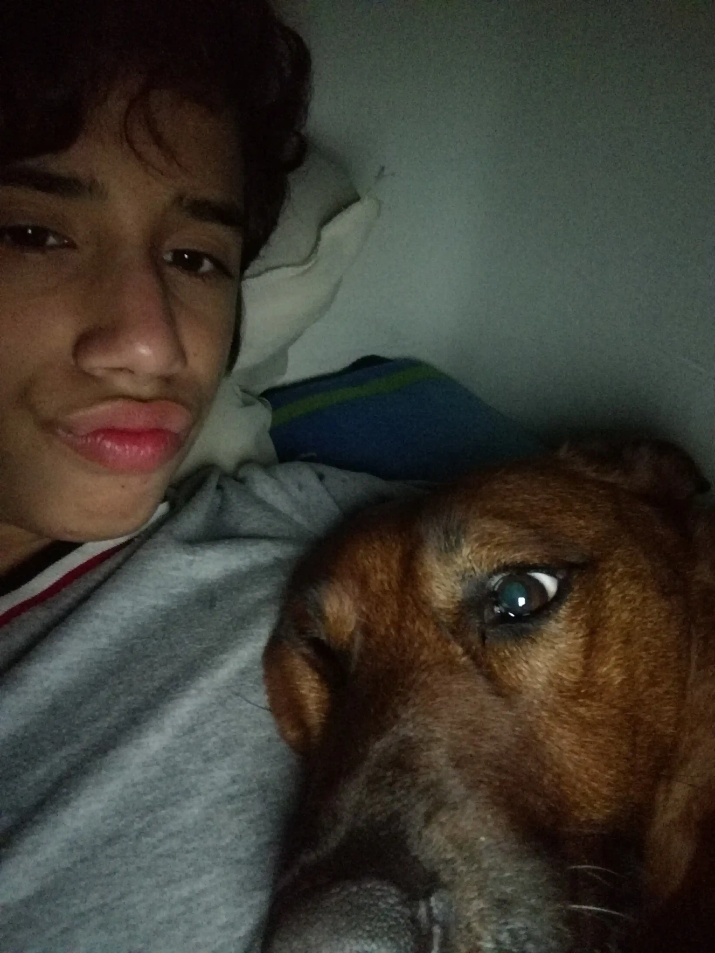 image-7