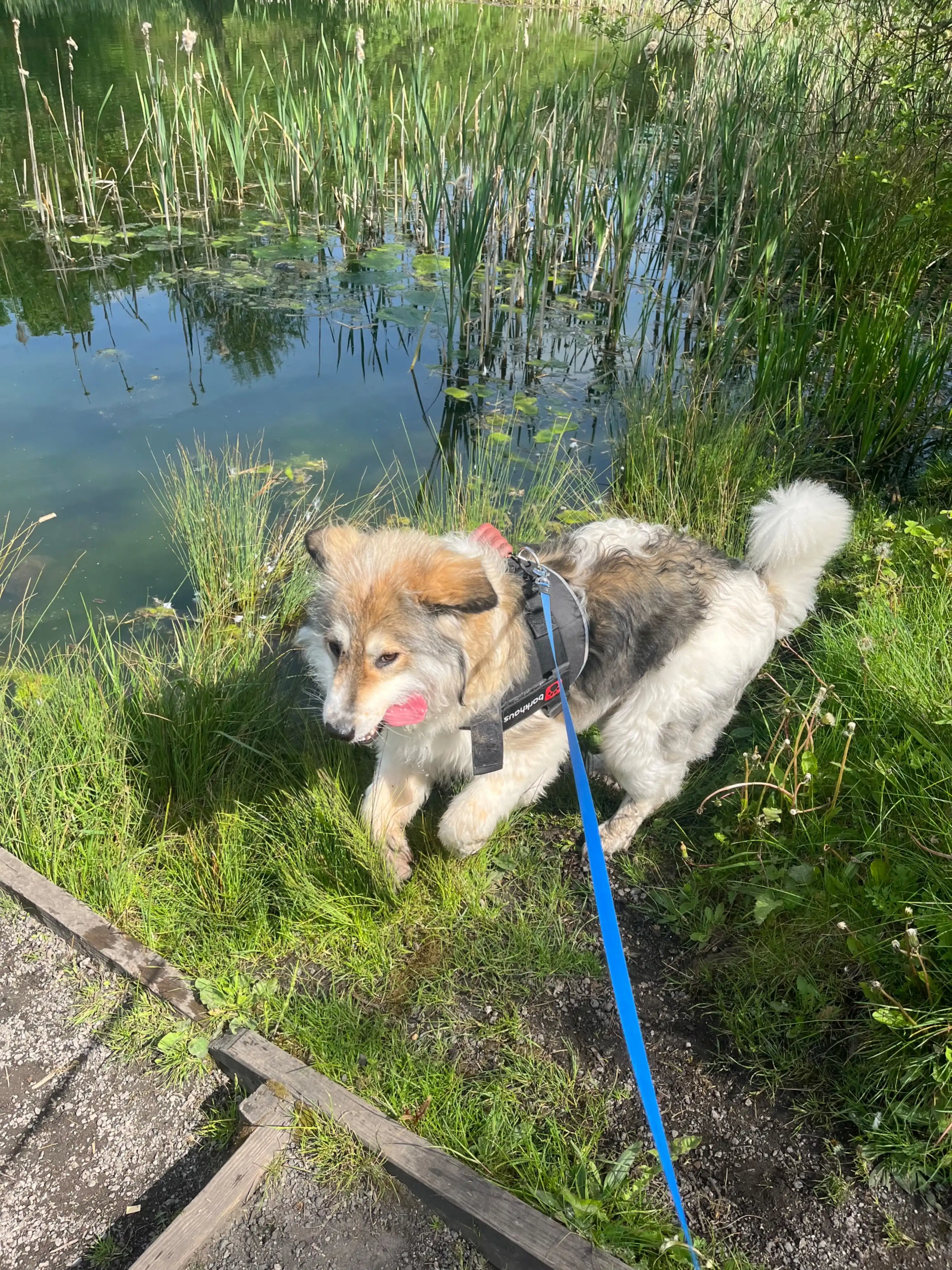 image-9