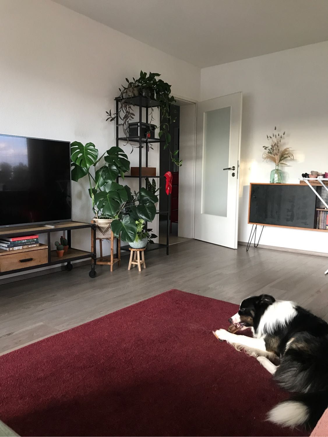 image-14