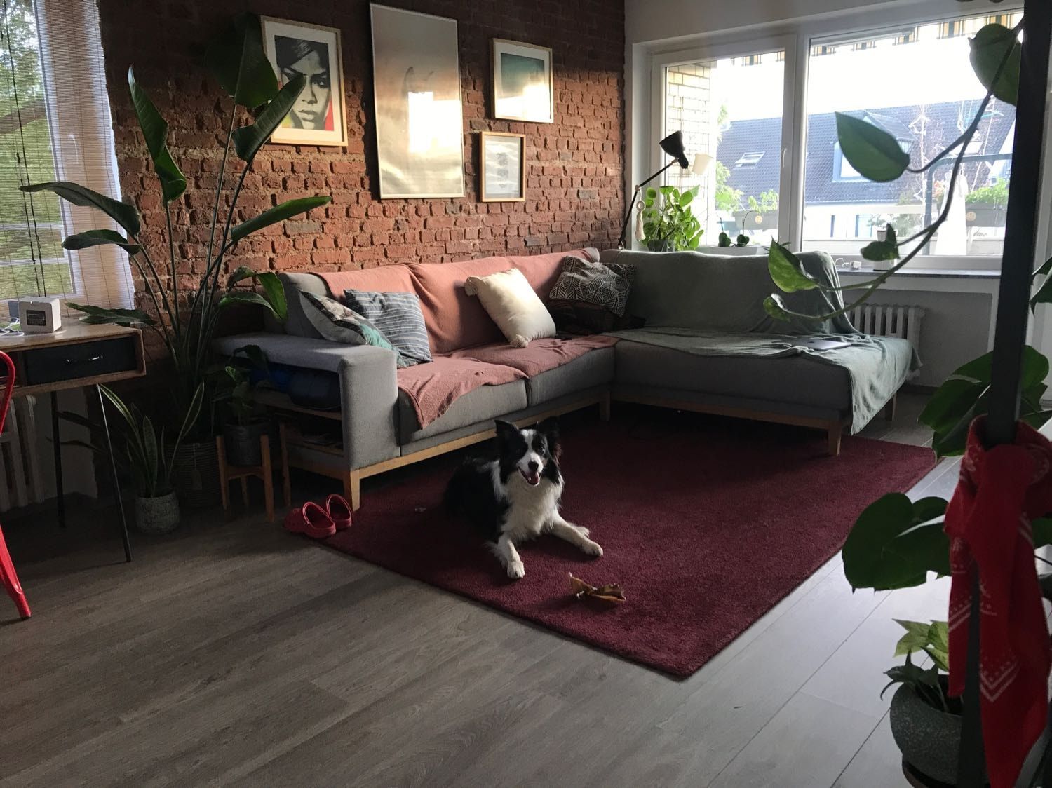 image-13