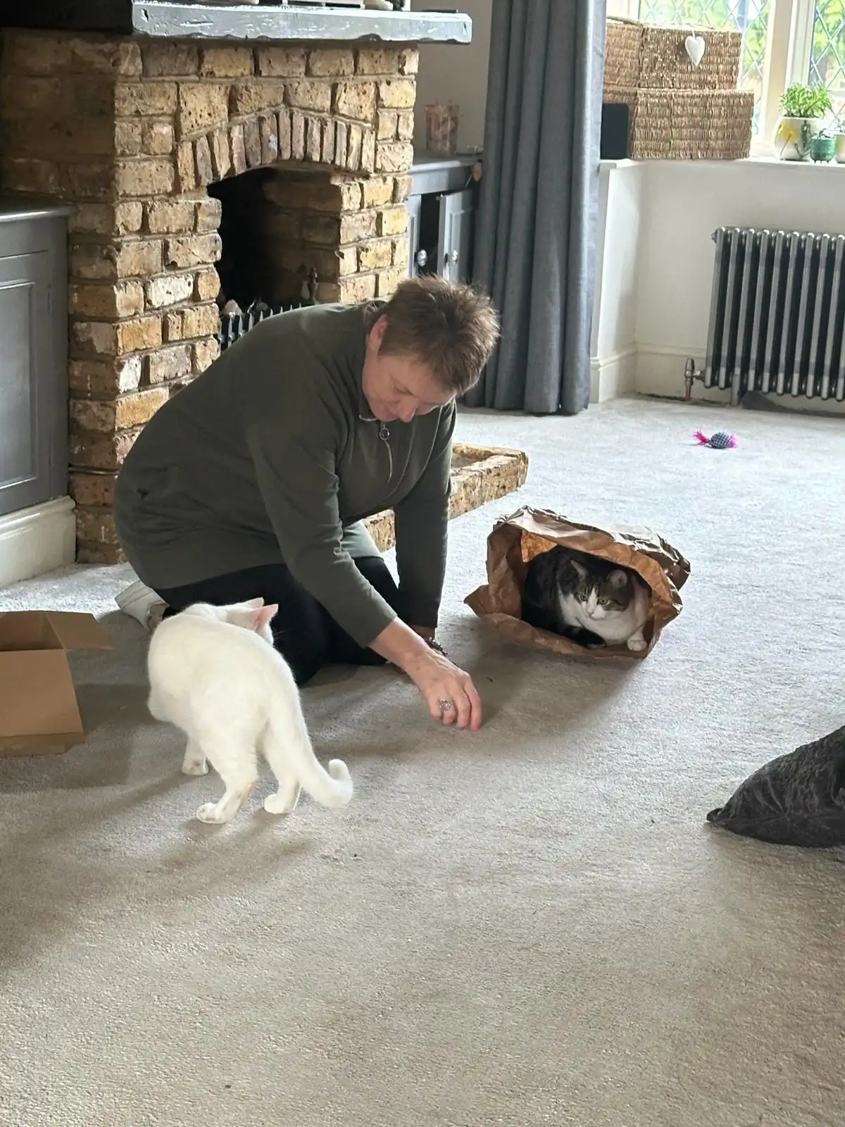 image-9