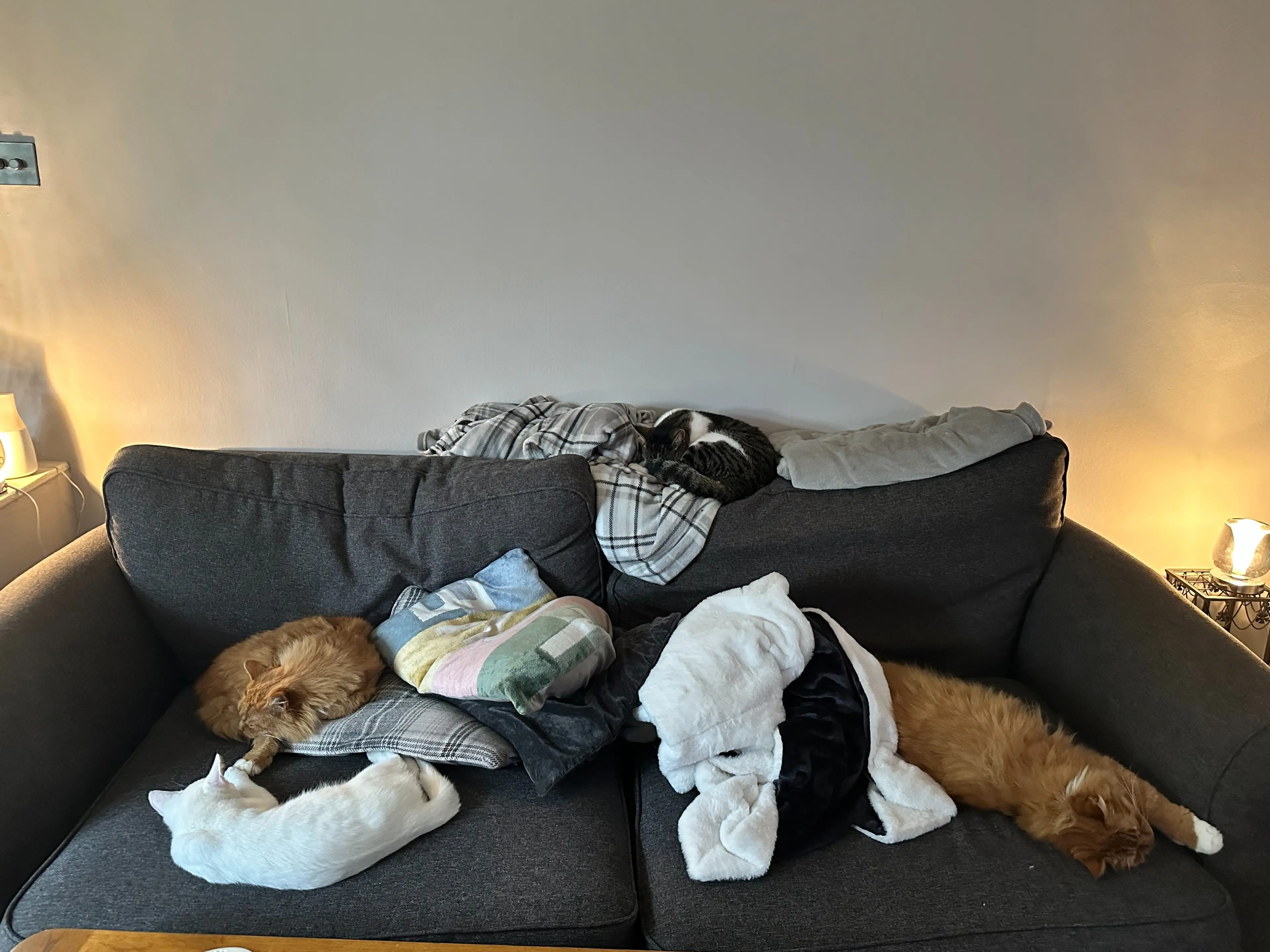 image-4