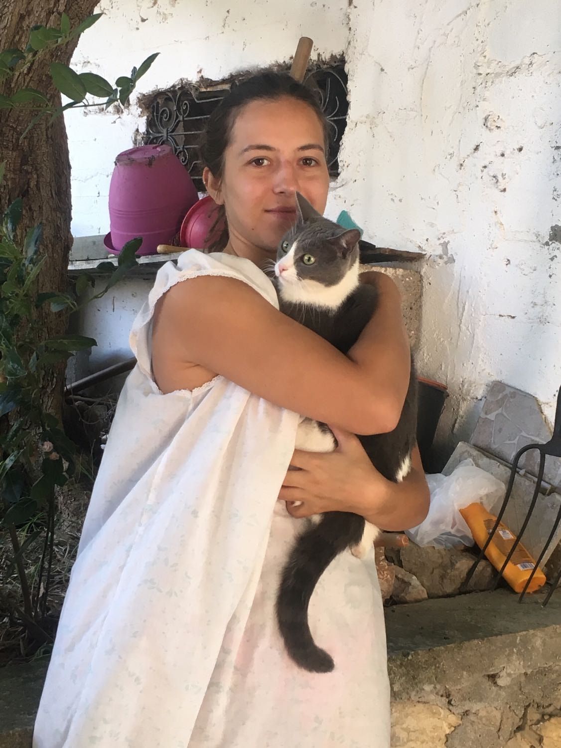 image-6