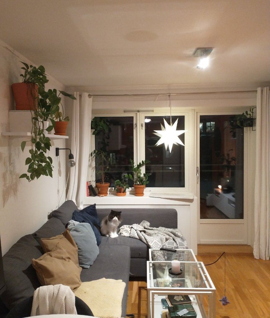 image-3