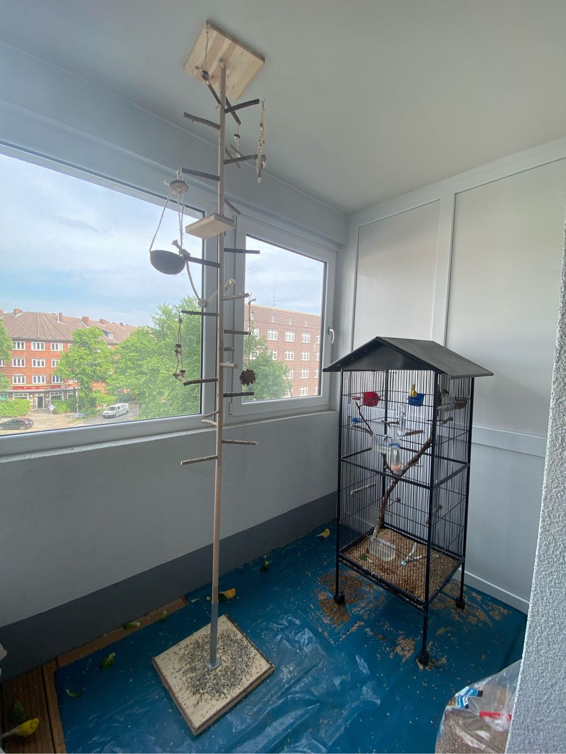 image-12