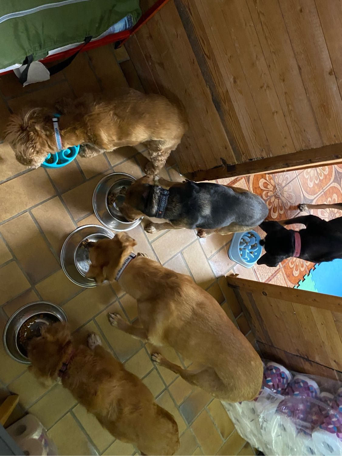 image-4