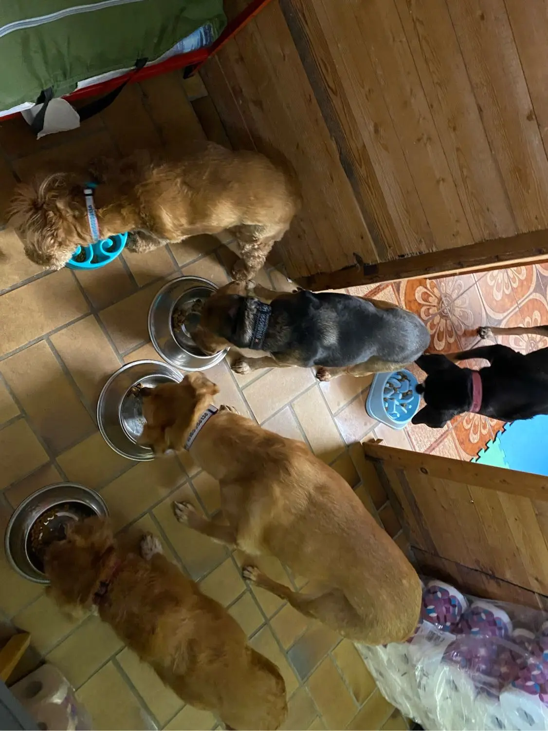 image-4