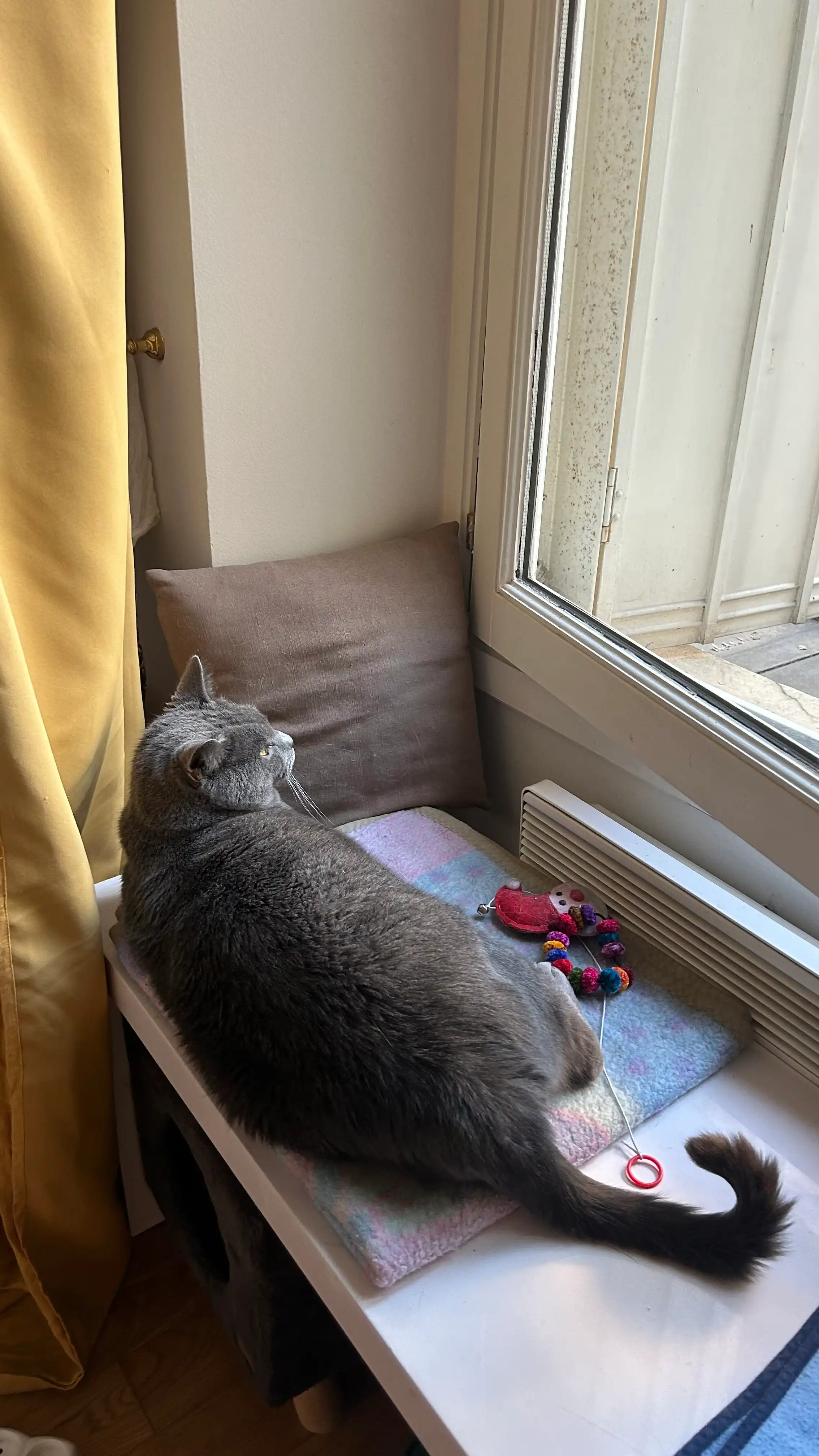 image-17