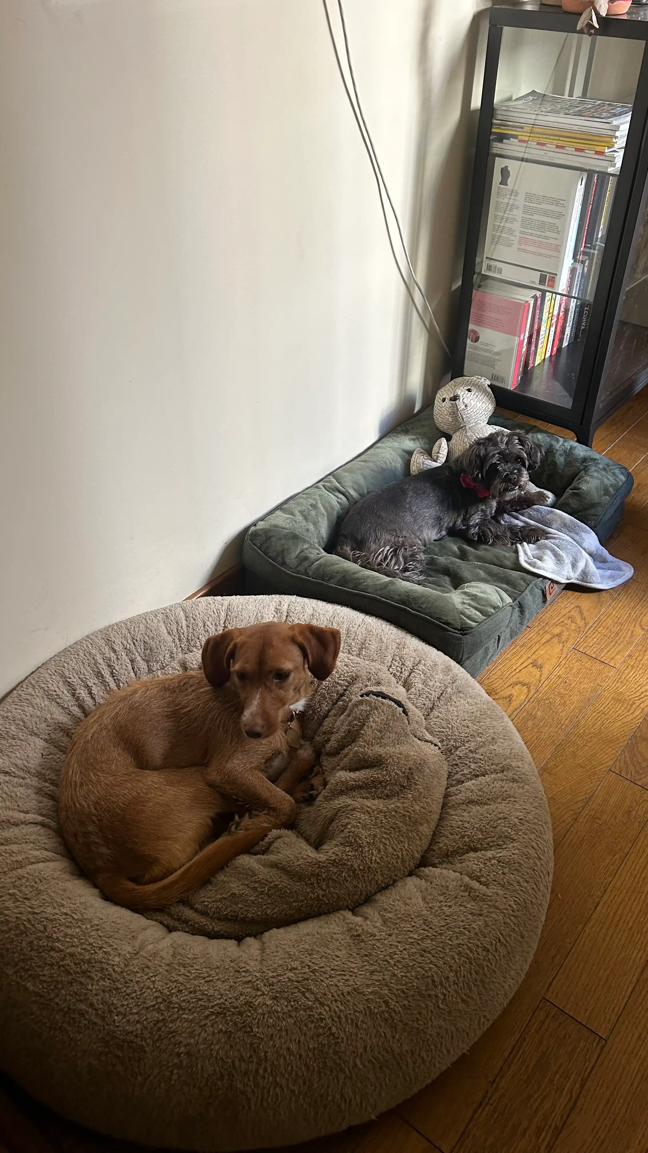image-13