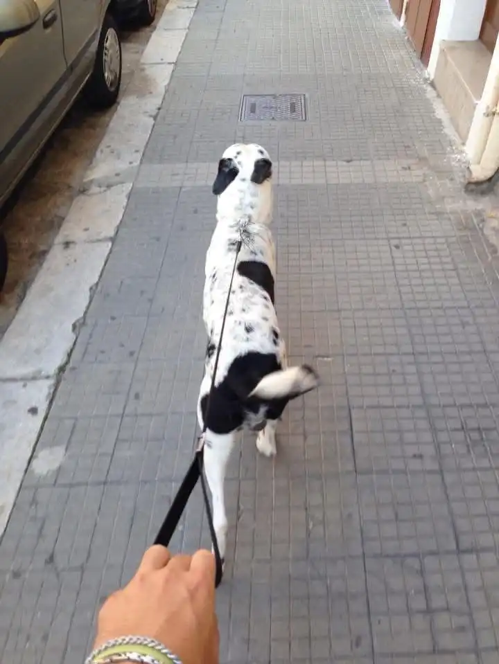 image-7