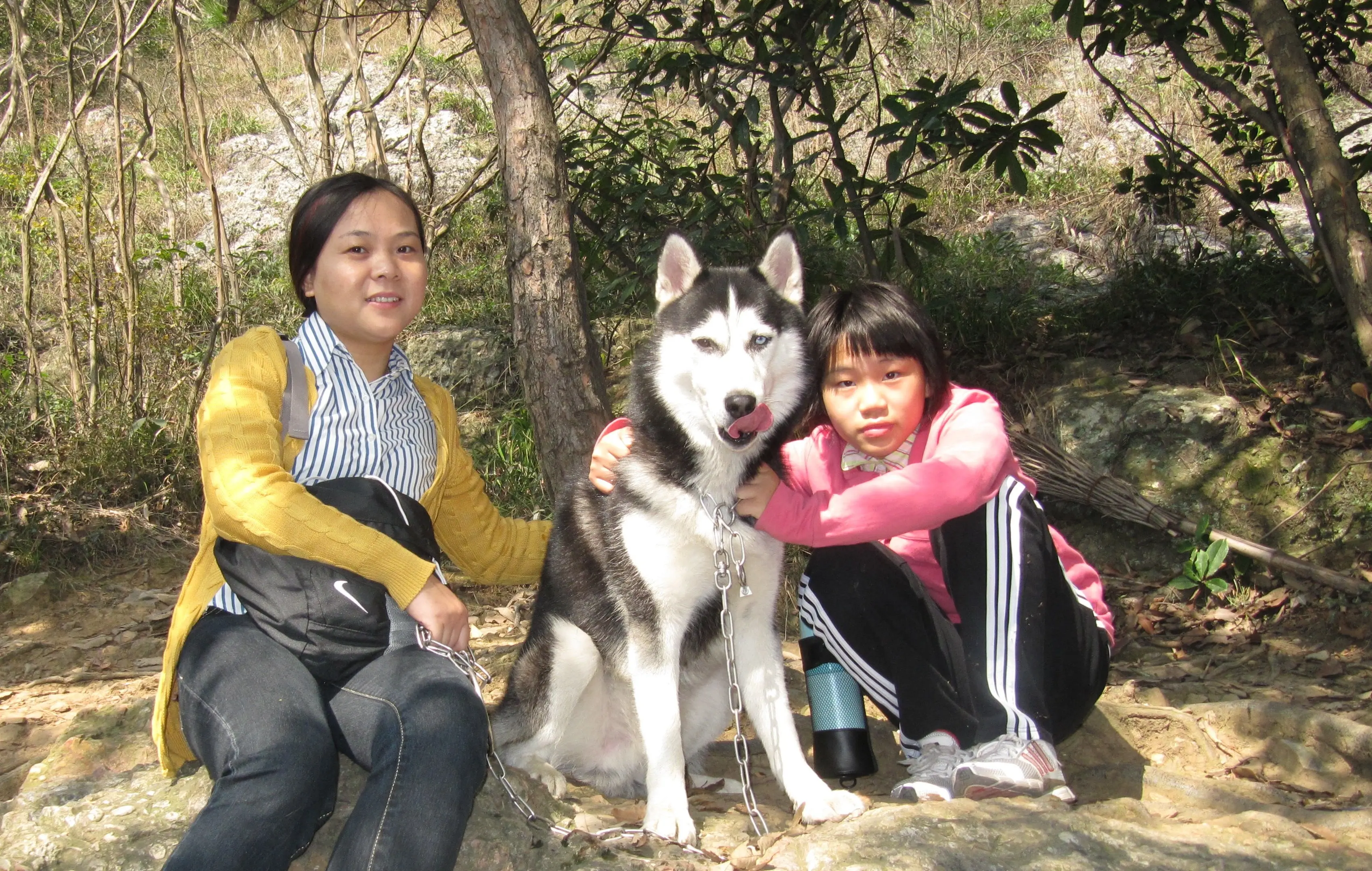 image-3