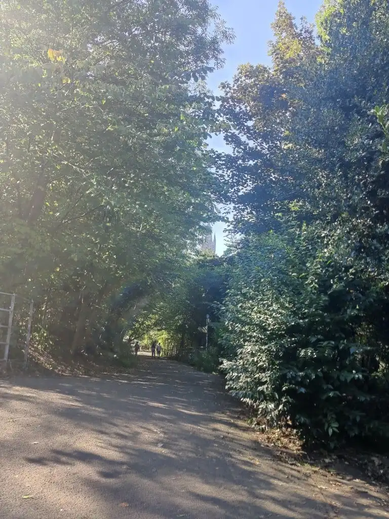 image-5
