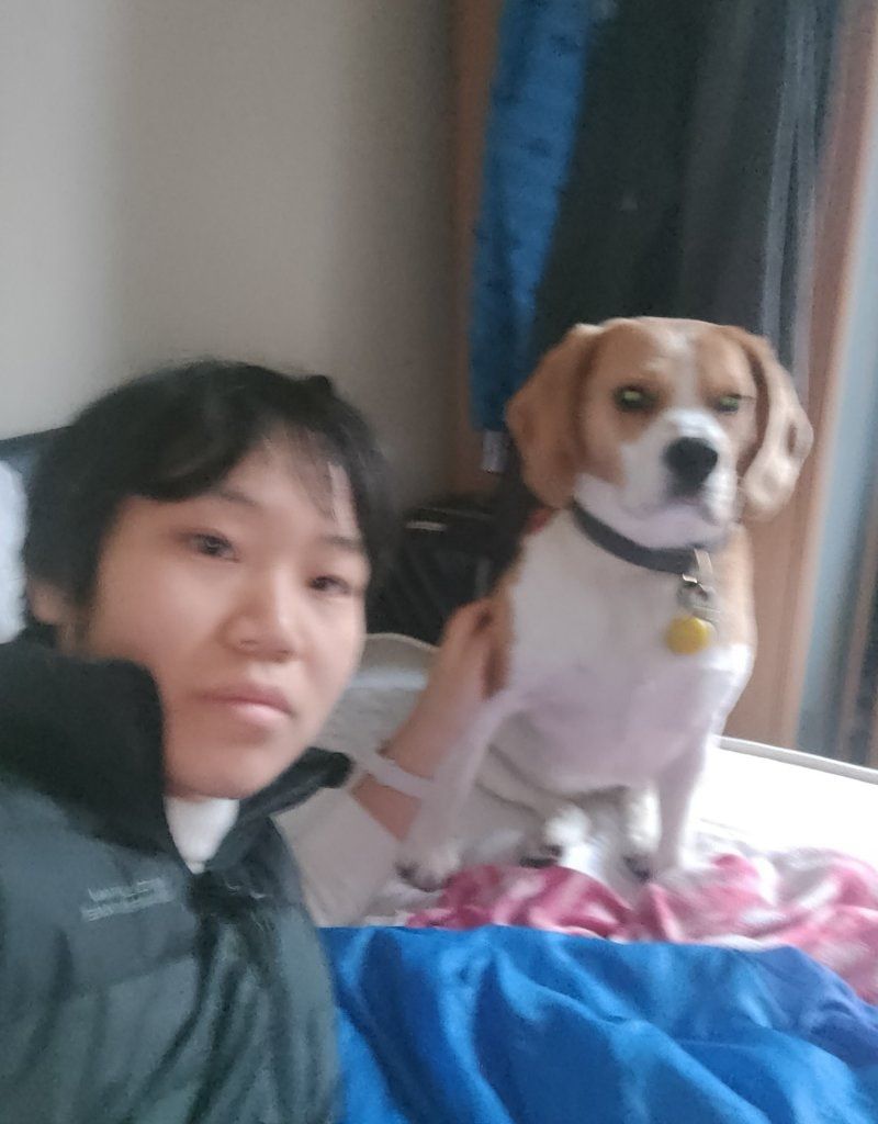 image-23