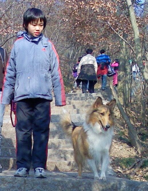 image-2