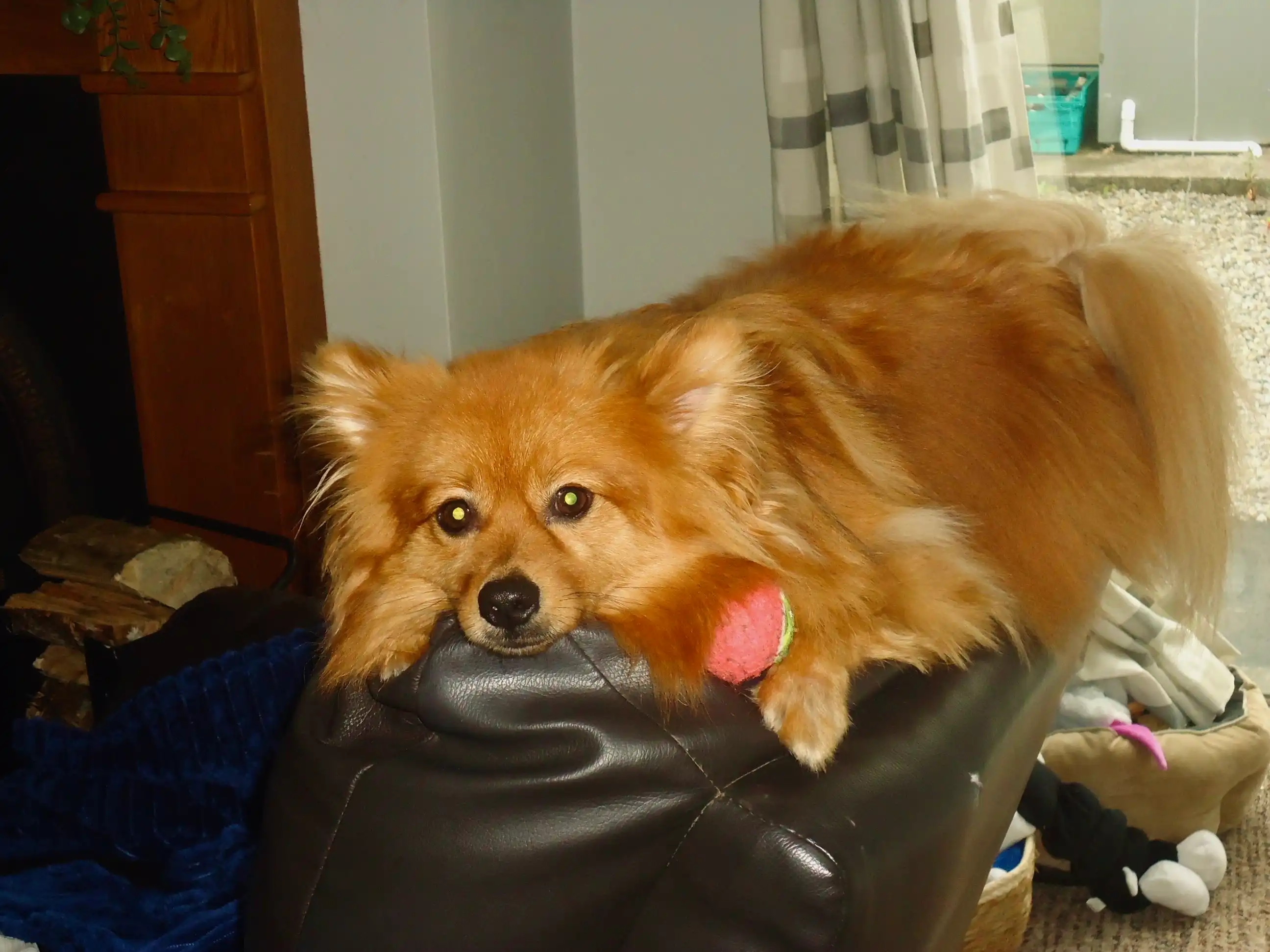 image-8