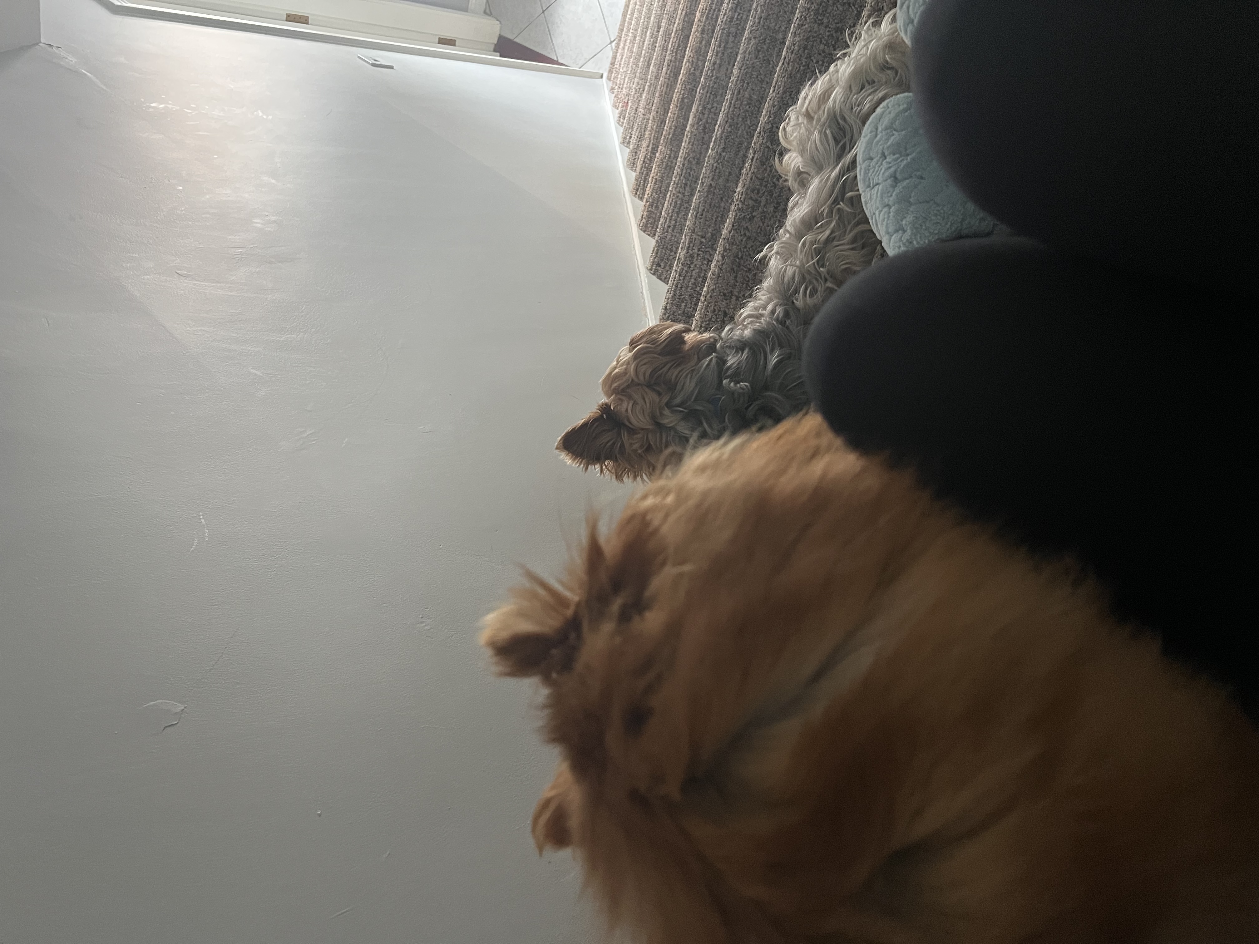 image-7
