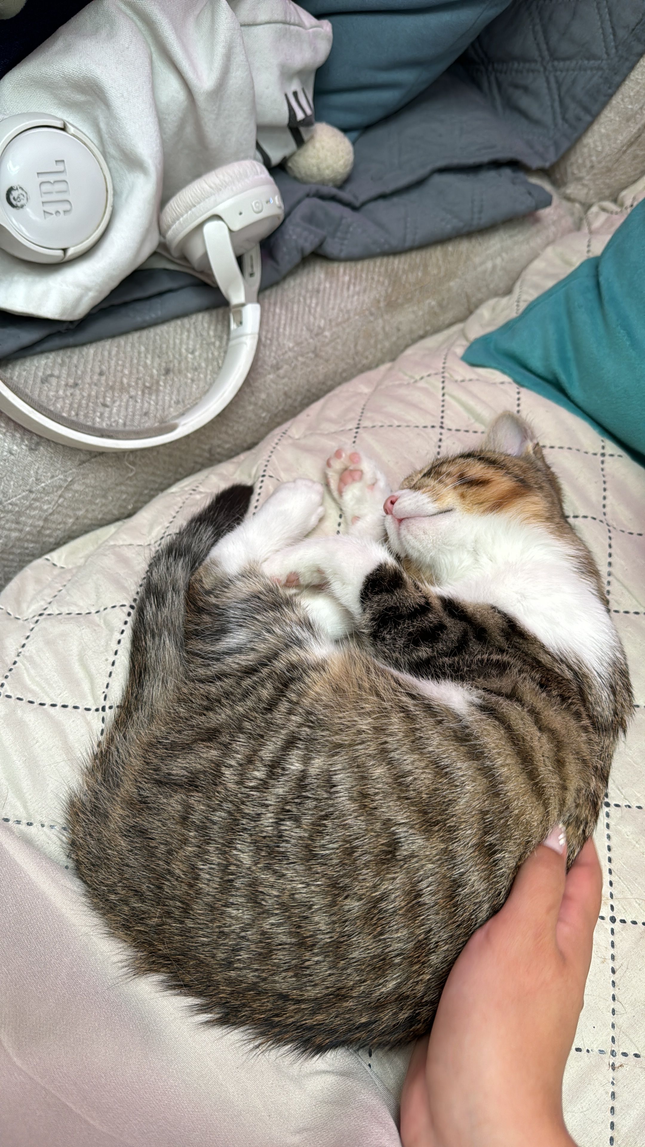 image-6