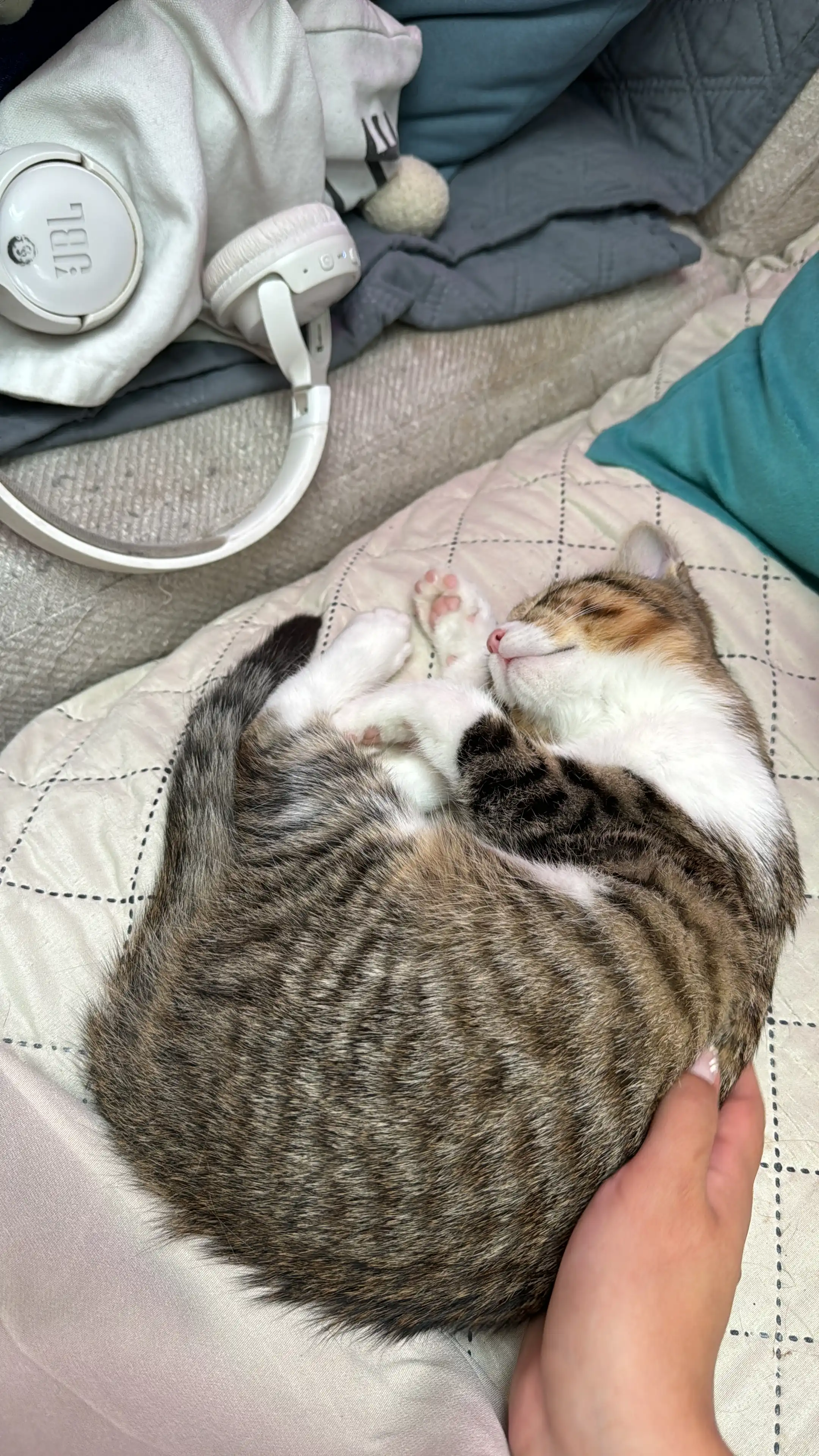image-6