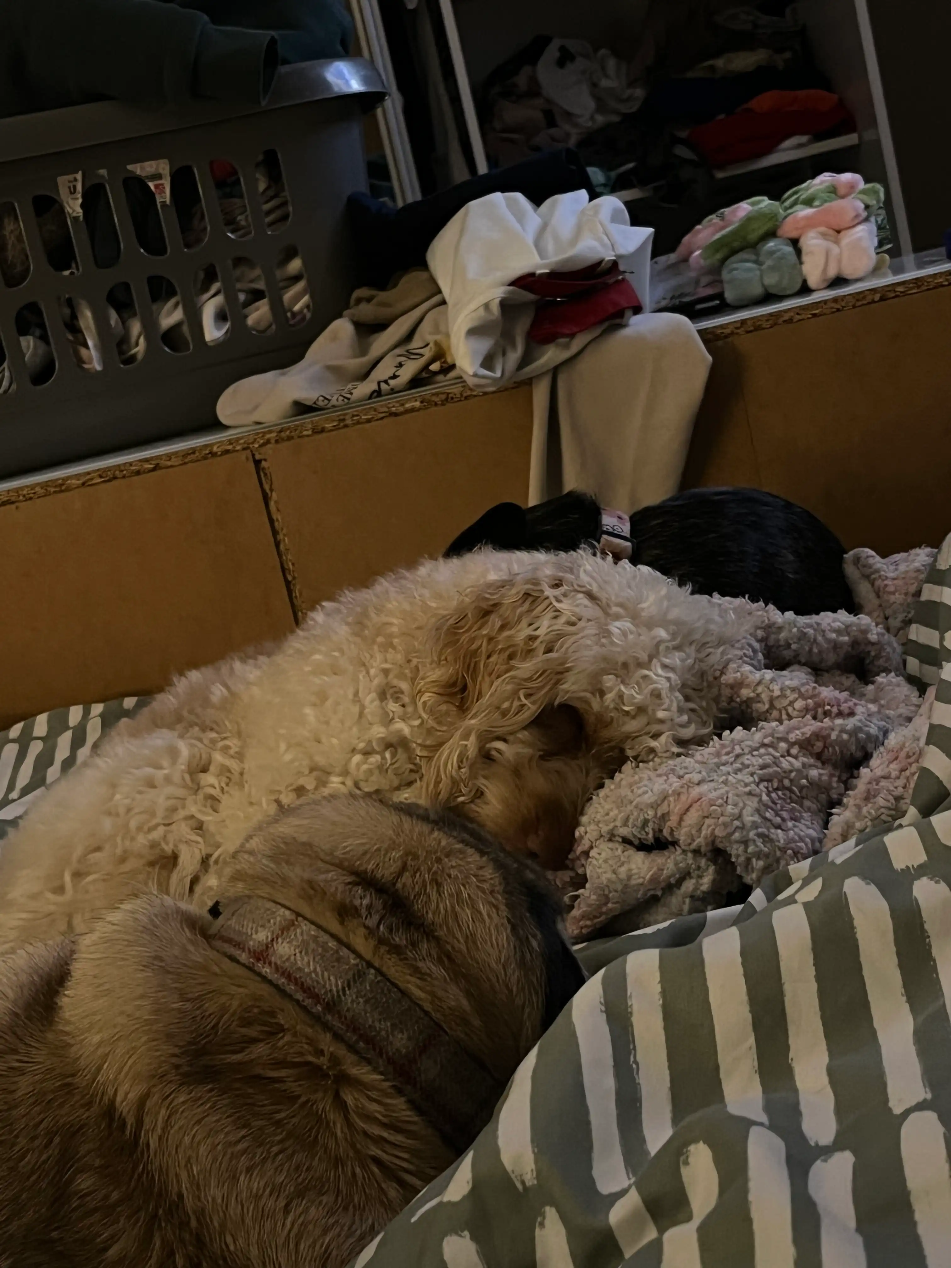 image-13