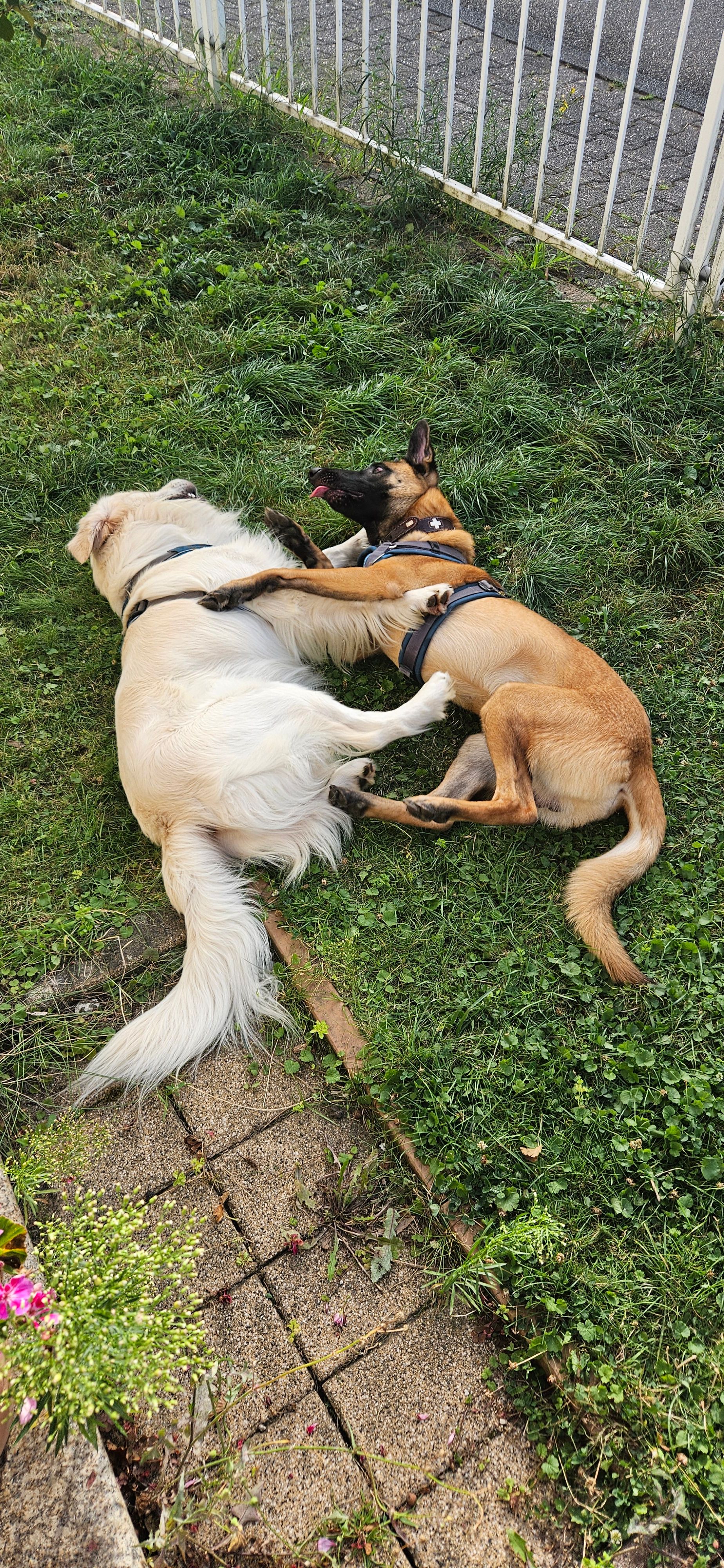 image-9