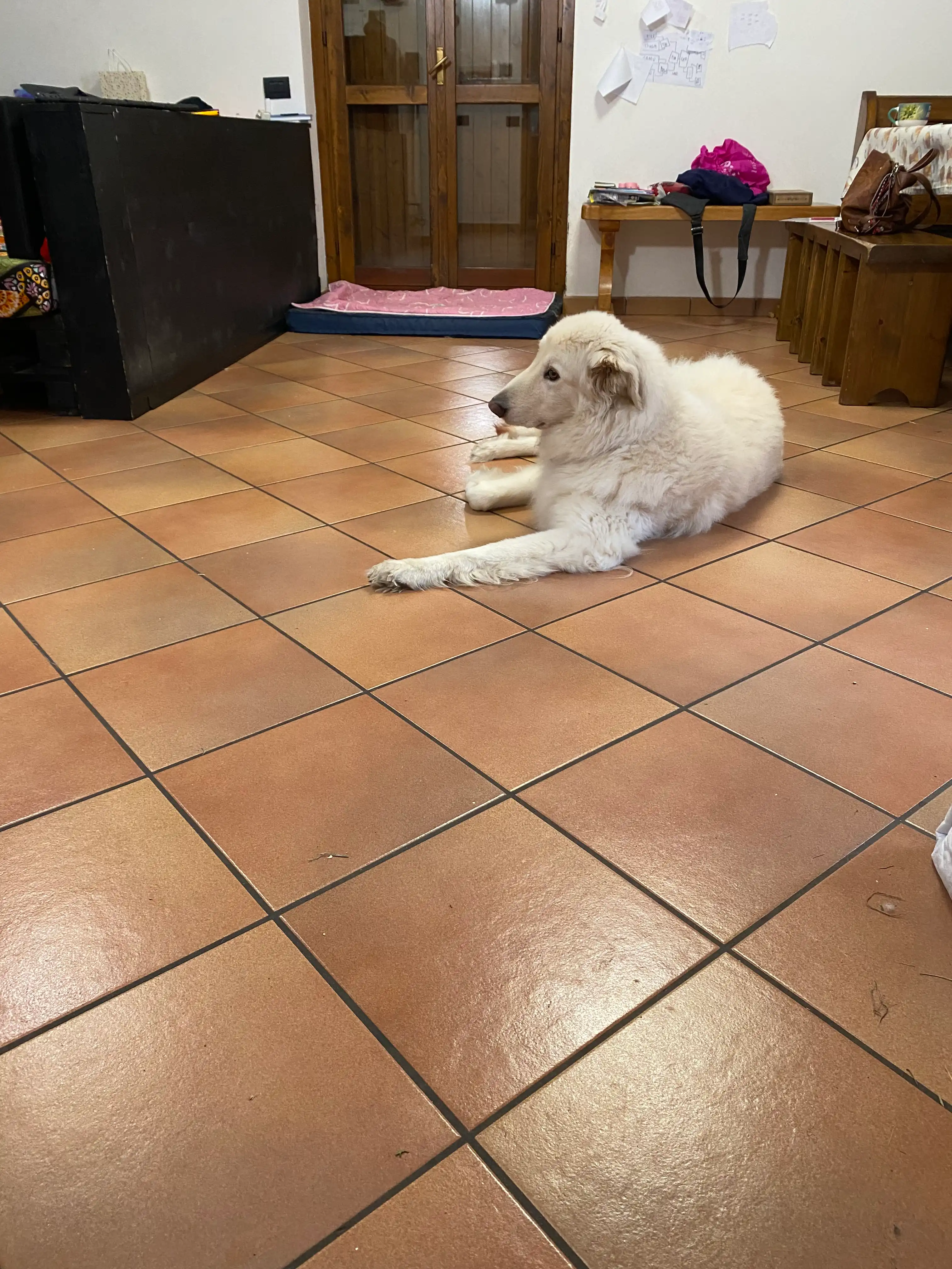 image-20