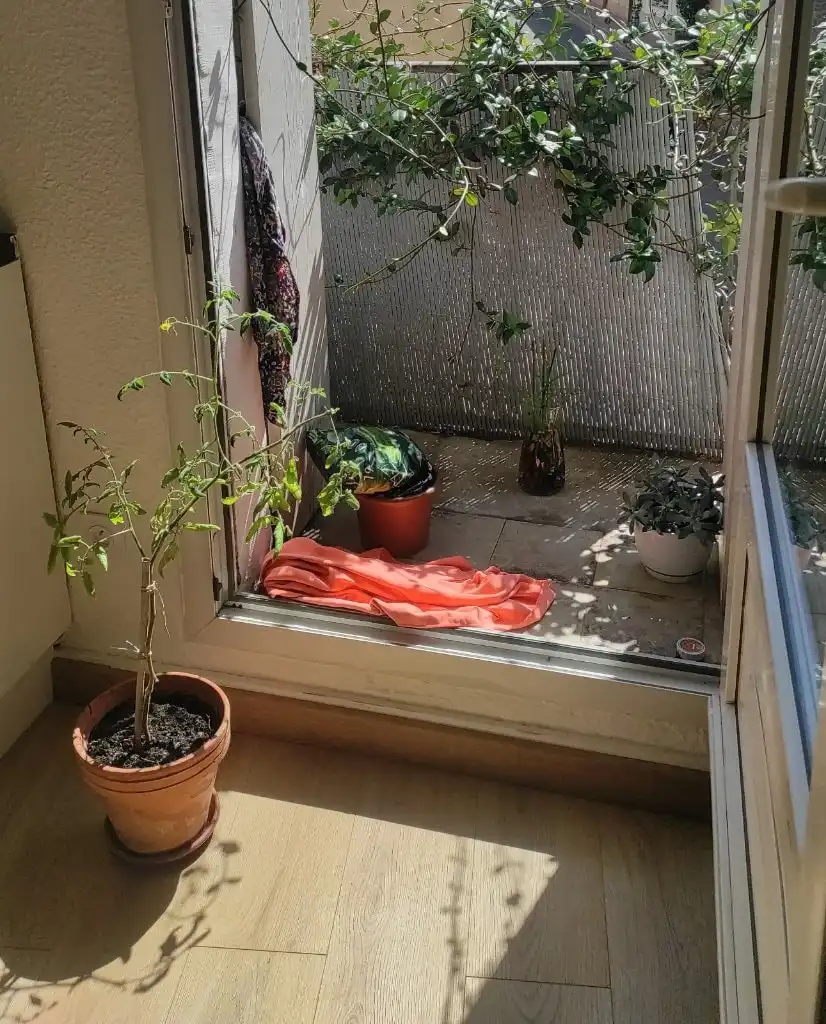 image-6