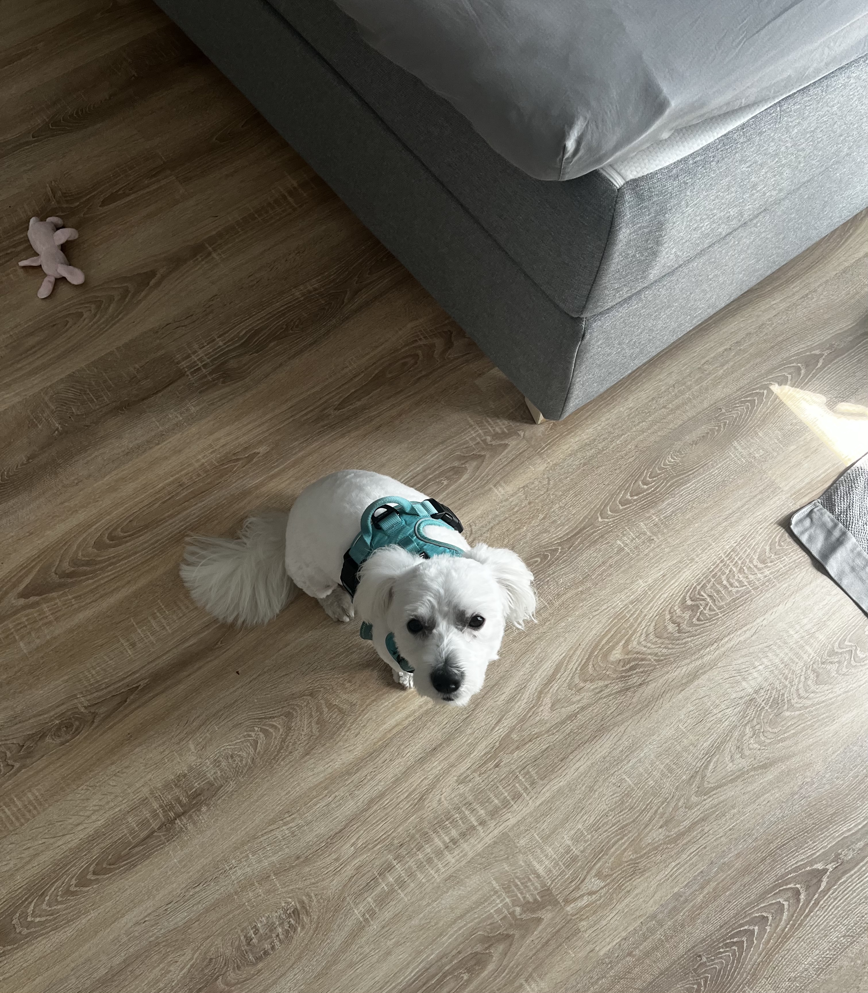 image-4