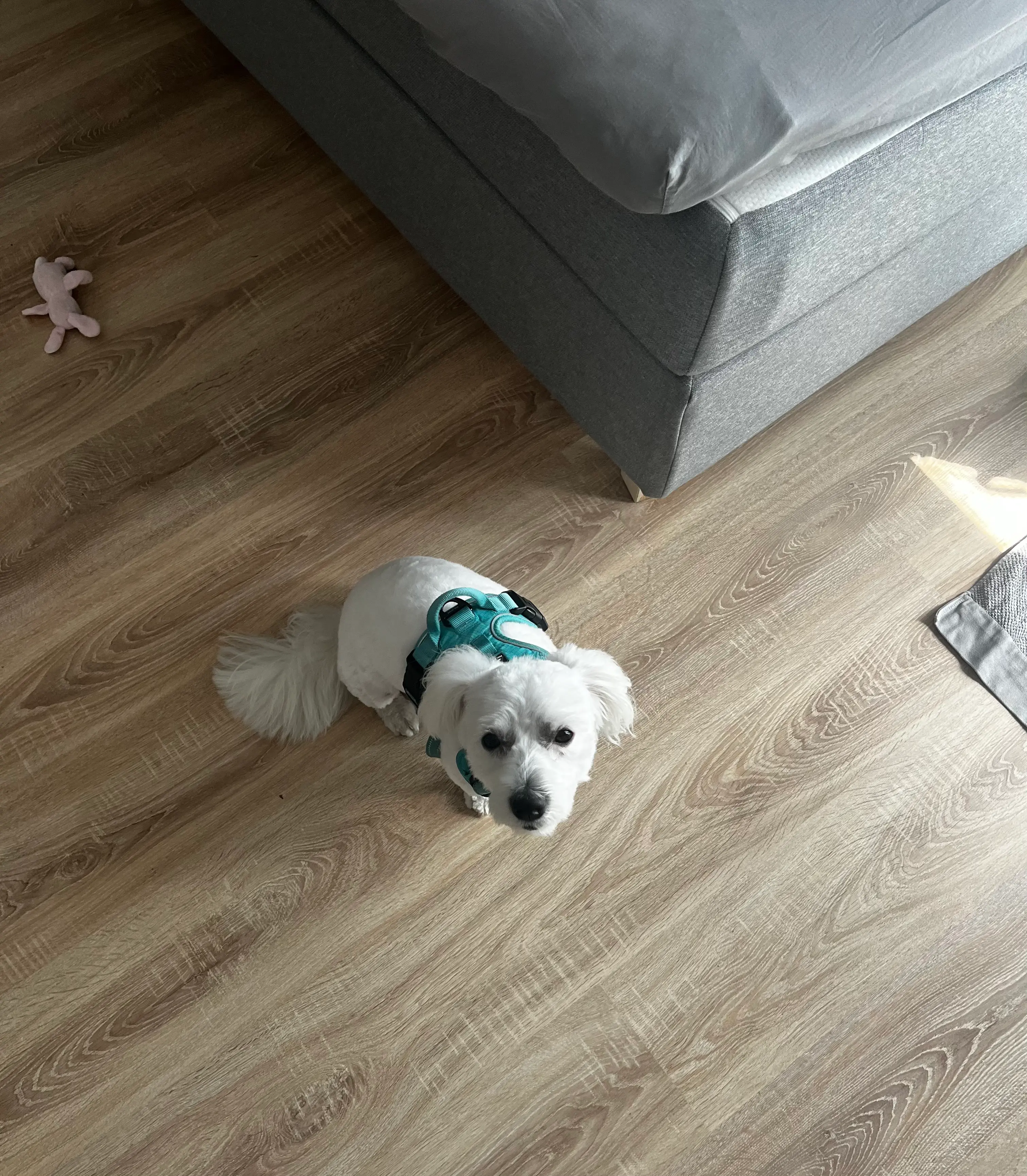 image-4