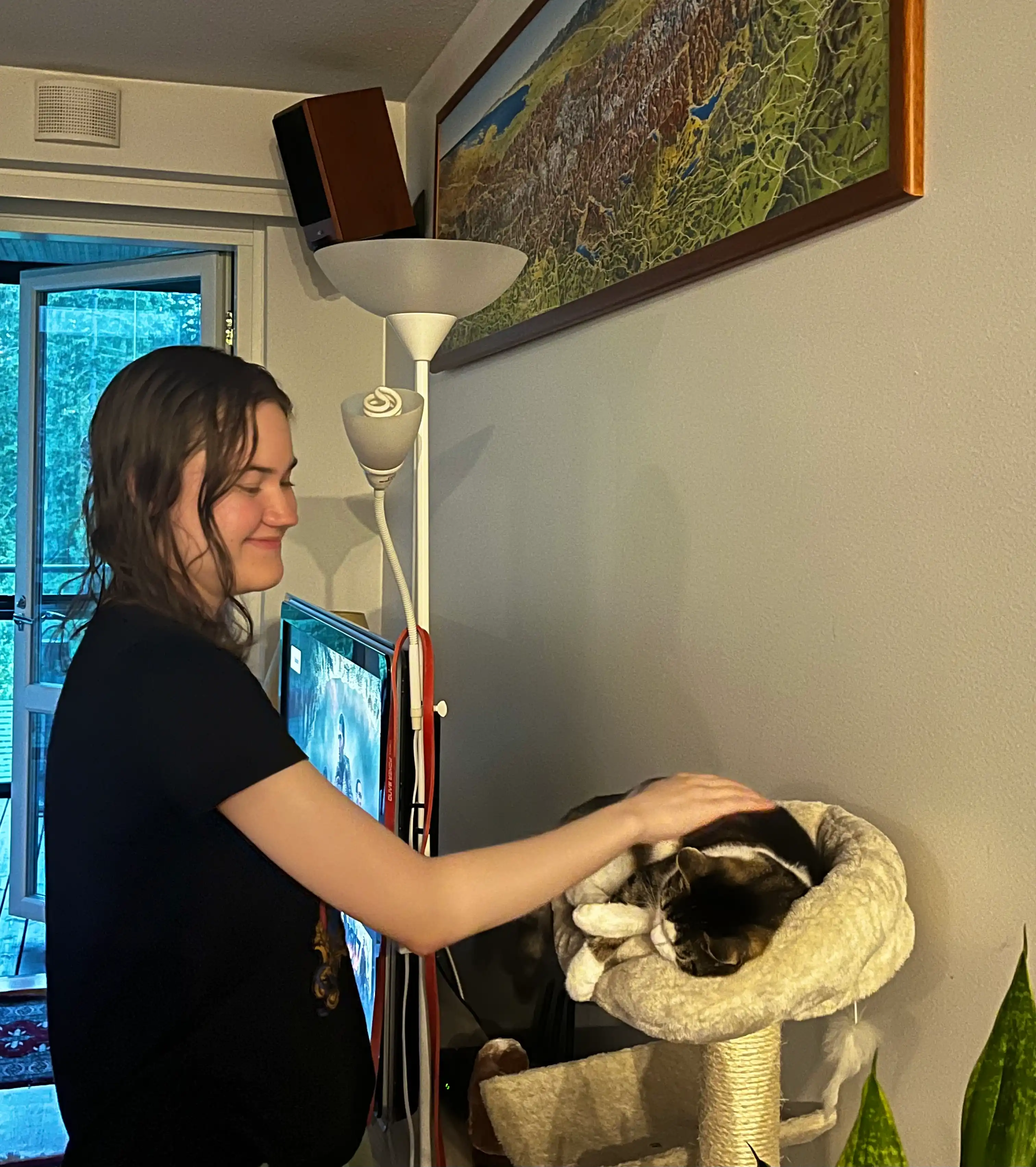 image-6