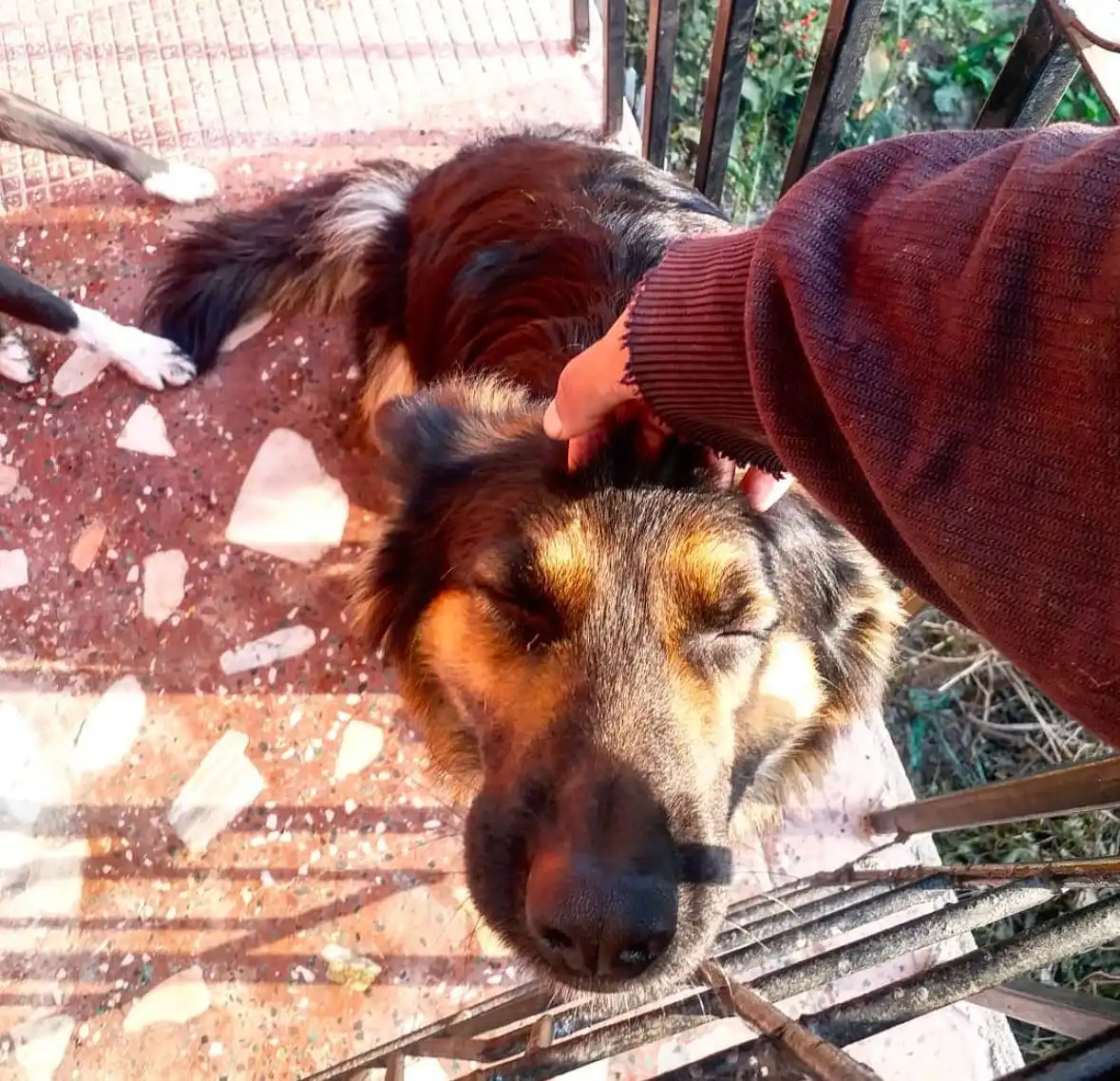 image-6