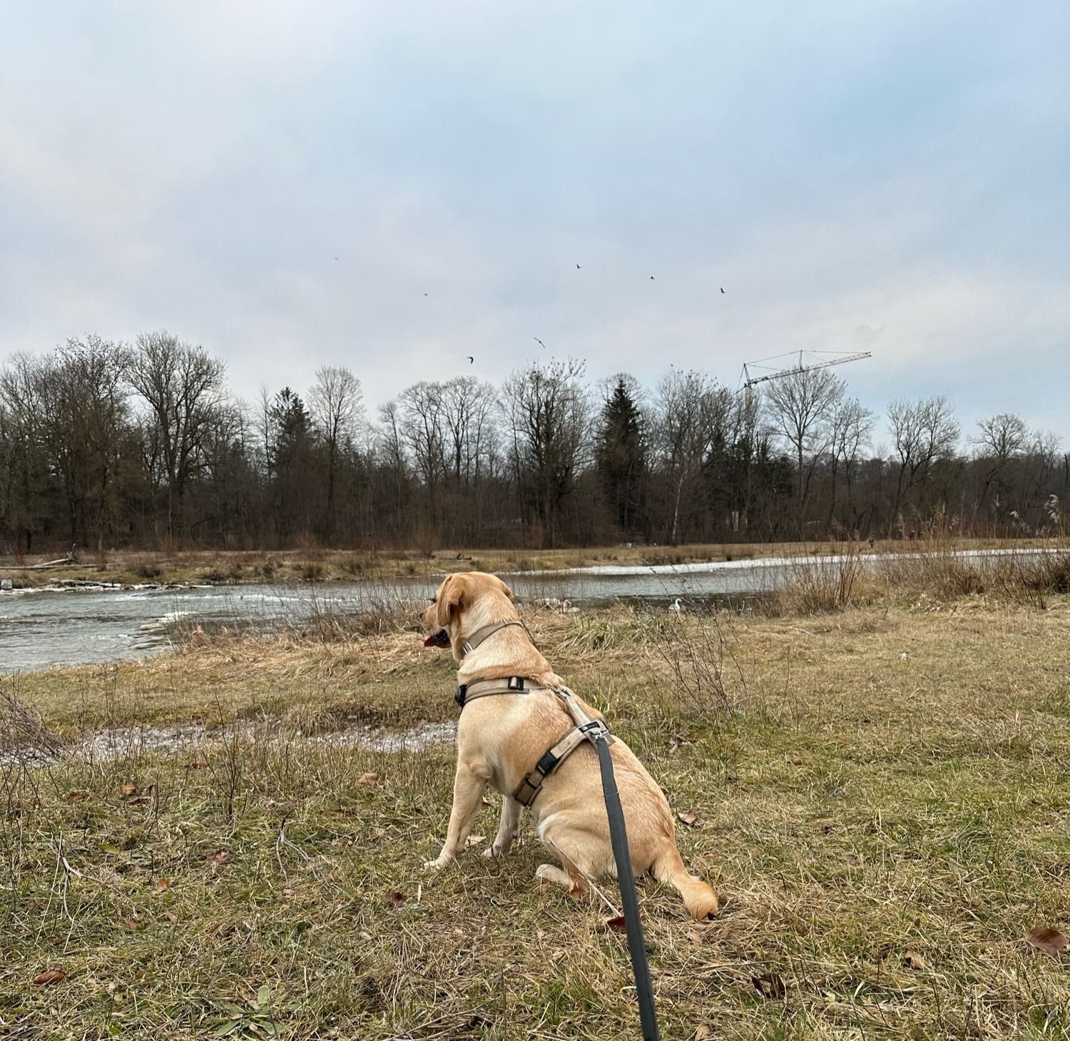 image-46